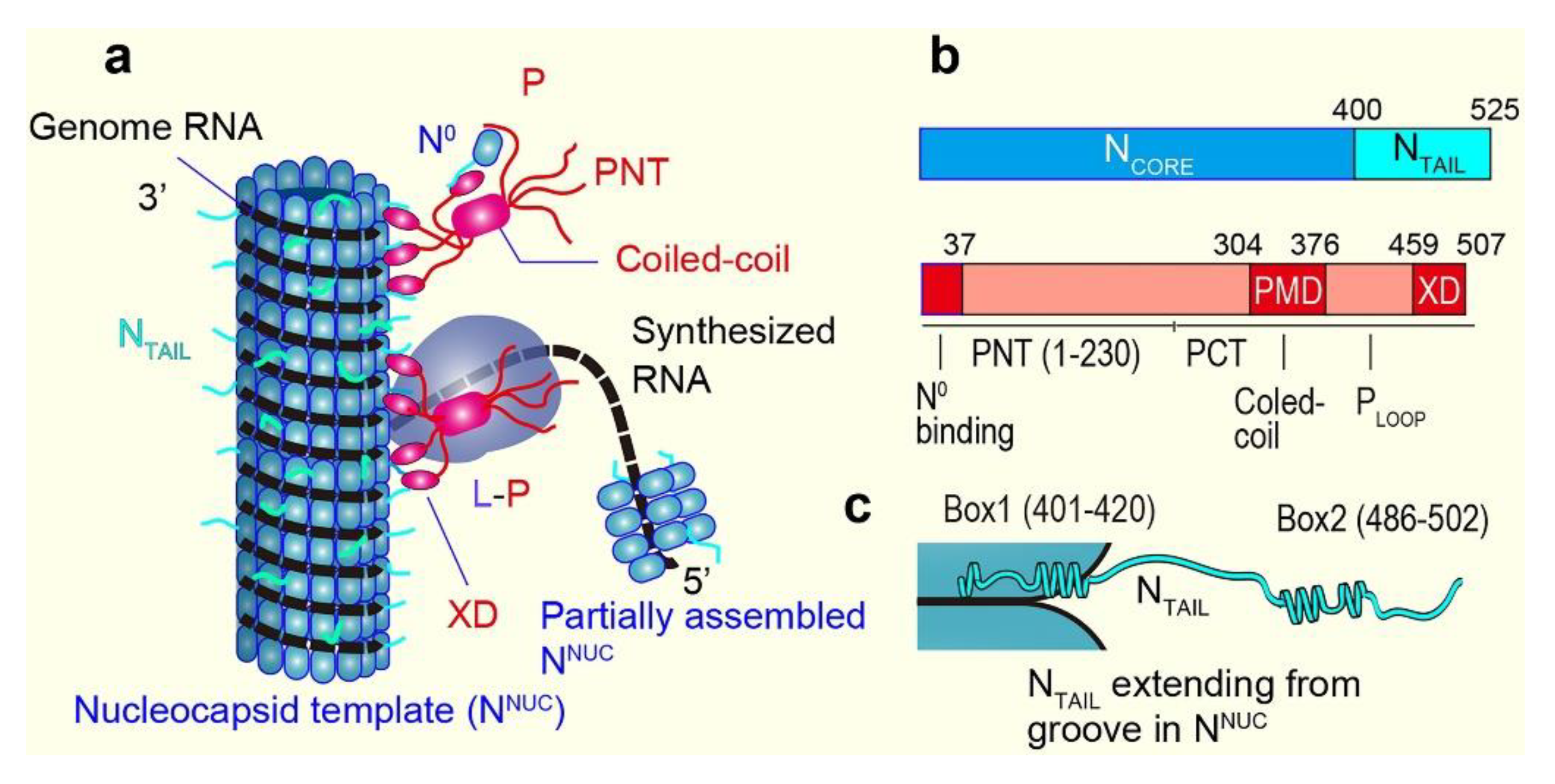 Biomolecules 12 01876 g004