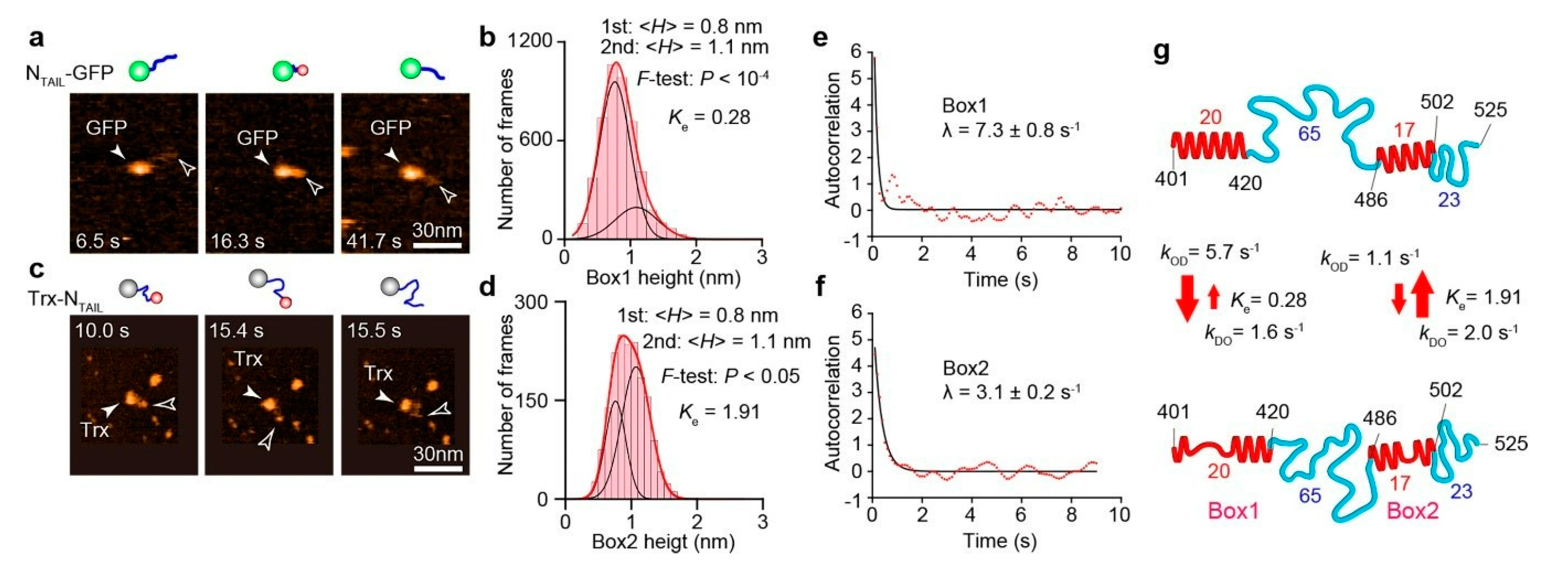 Biomolecules 12 01876 g005