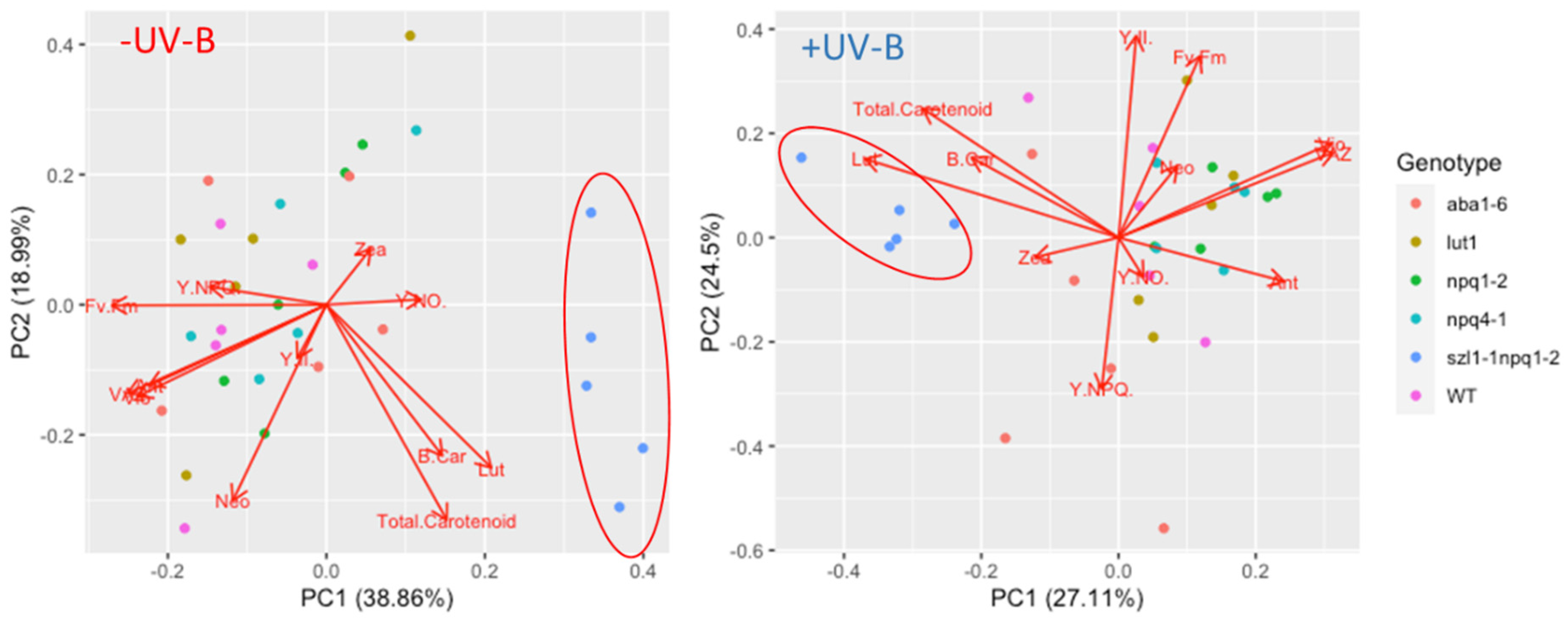Biomolecules 12 01879 g007