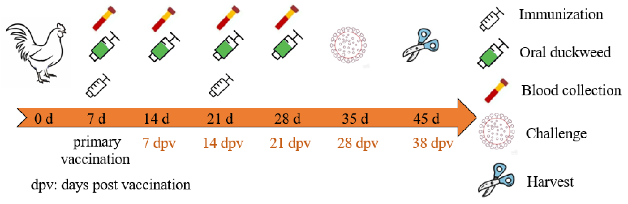 Biomolecules 12 01881 g001