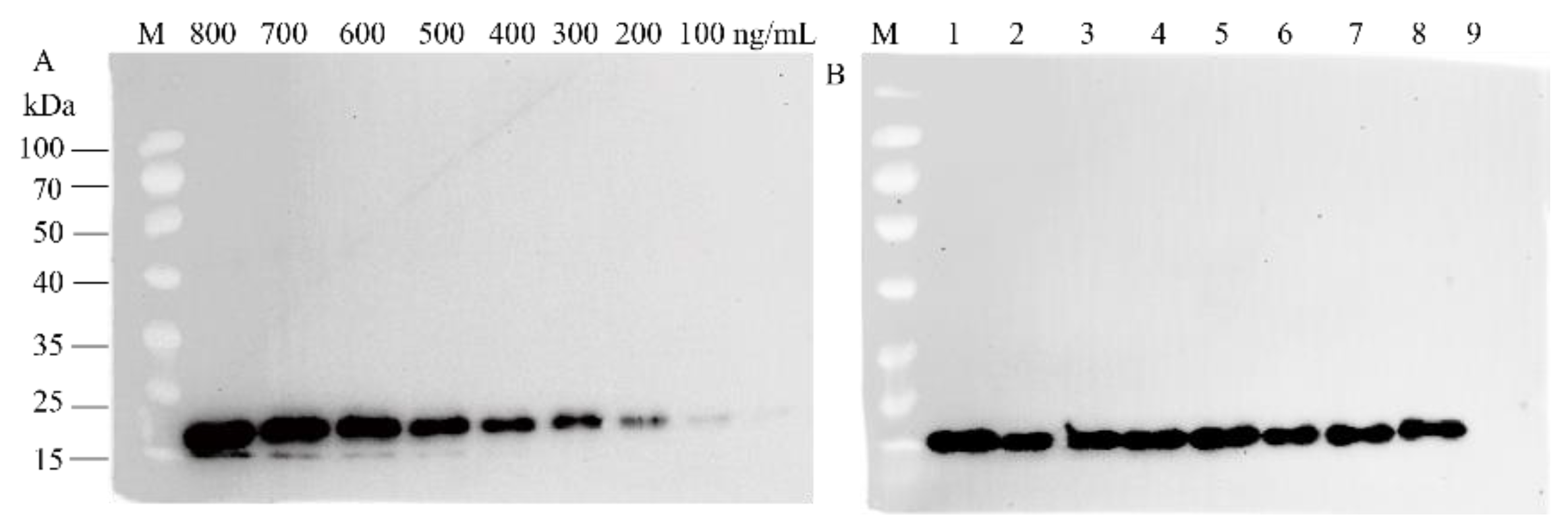Biomolecules 12 01881 g007