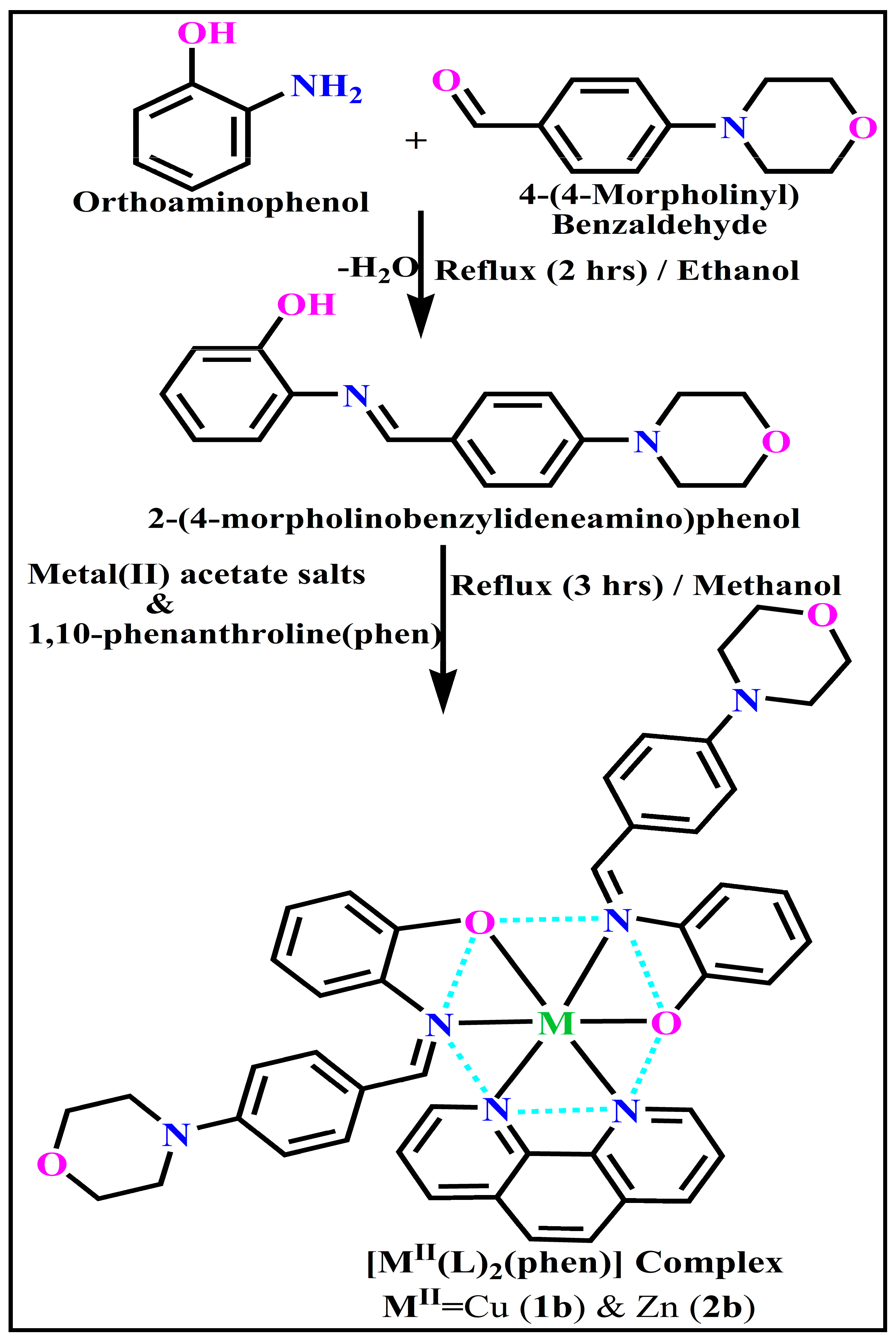 Biomolecules 12 01883 g001 Biomolecules 12 01883 g001