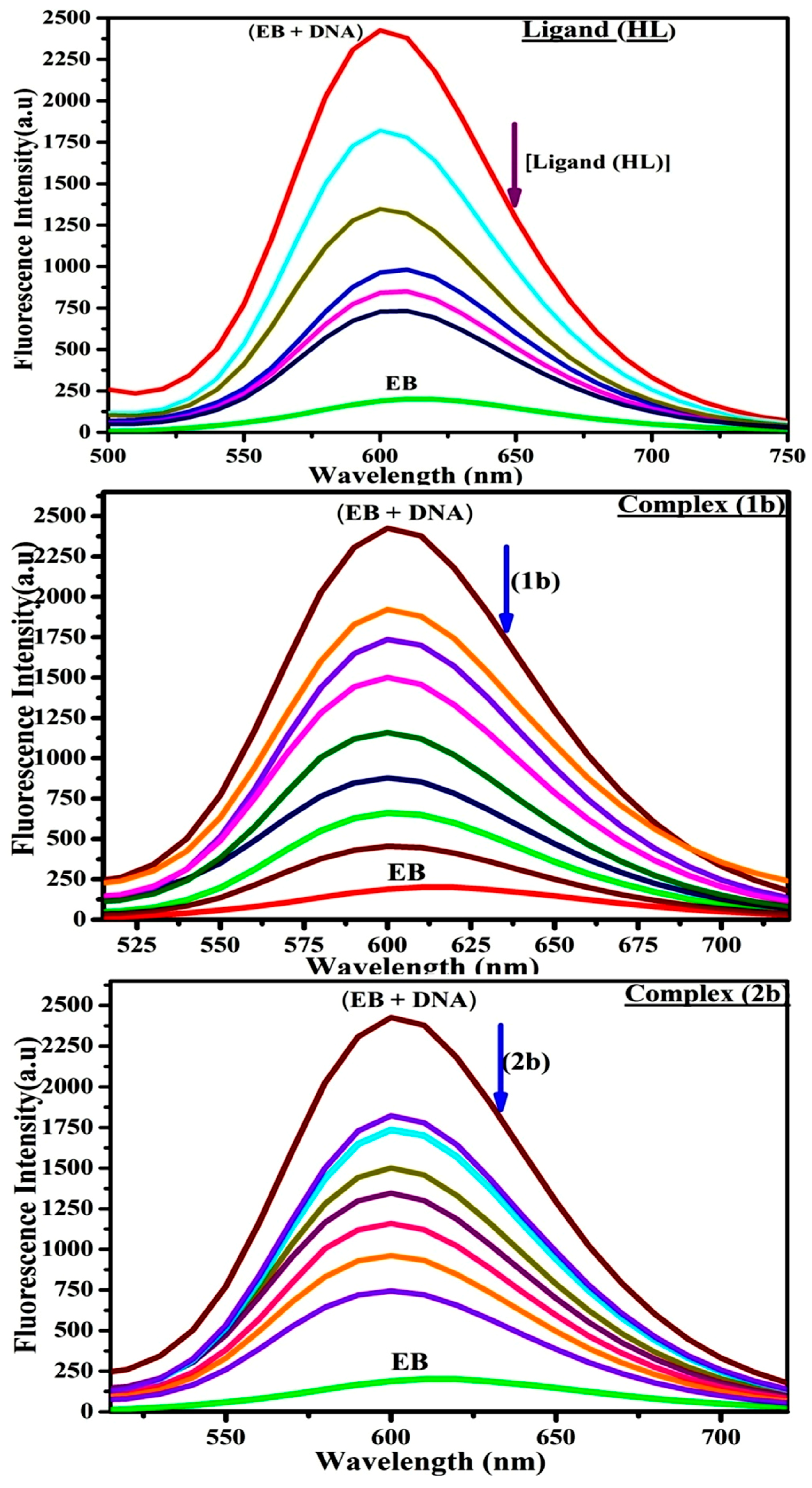 Biomolecules 12 01883 g005 Biomolecules 12 01883 g005