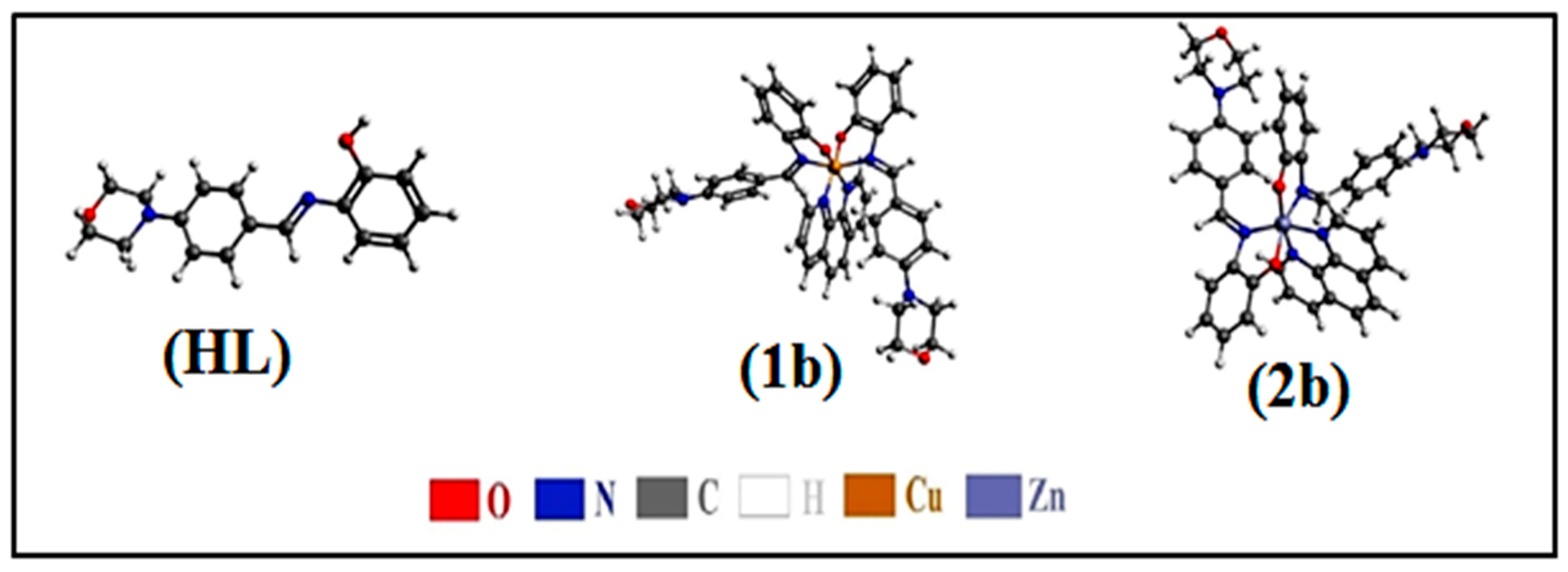 Biomolecules 12 01883 g008 Biomolecules 12 01883 g008