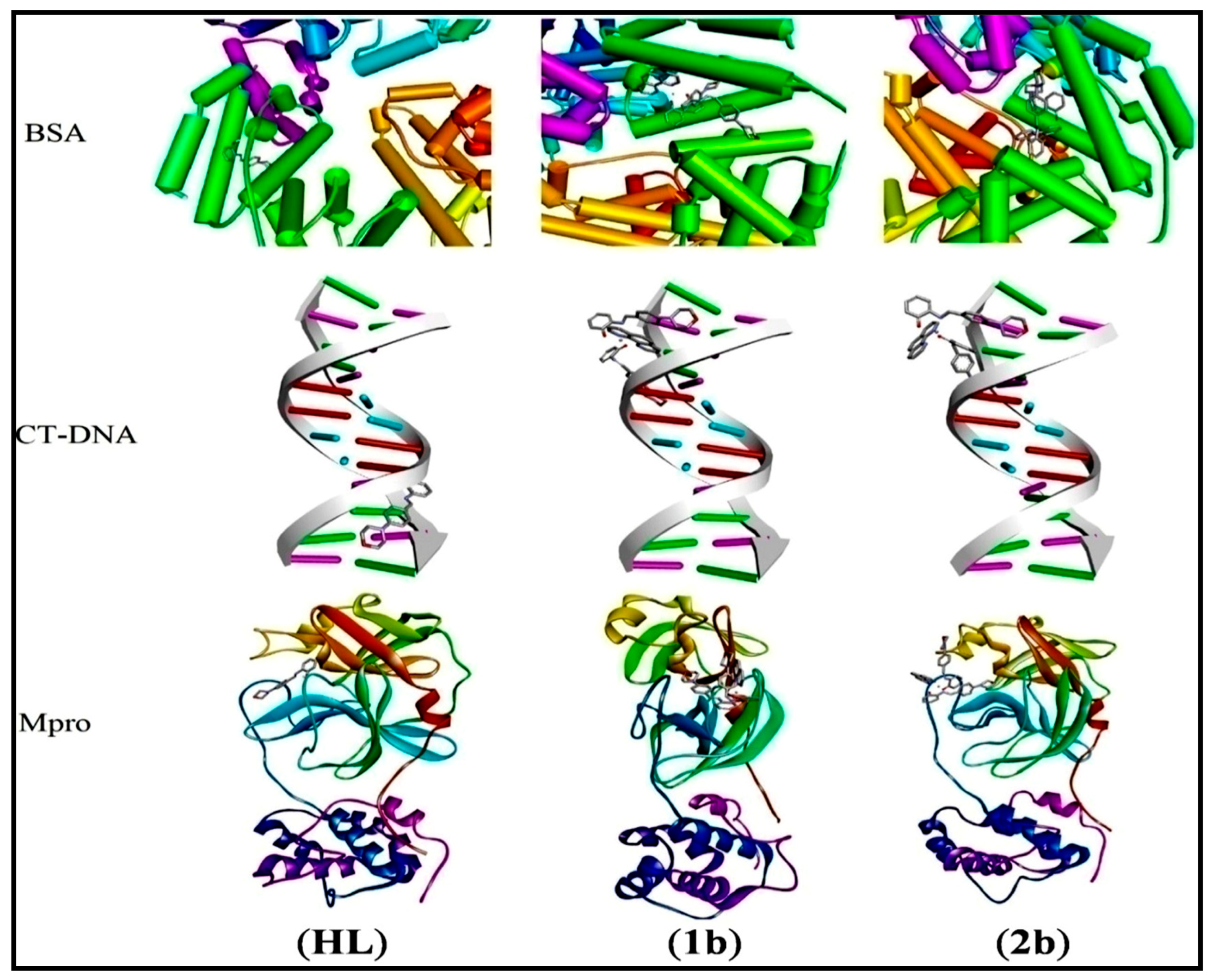 Biomolecules 12 01883 g011 Biomolecules 12 01883 g011