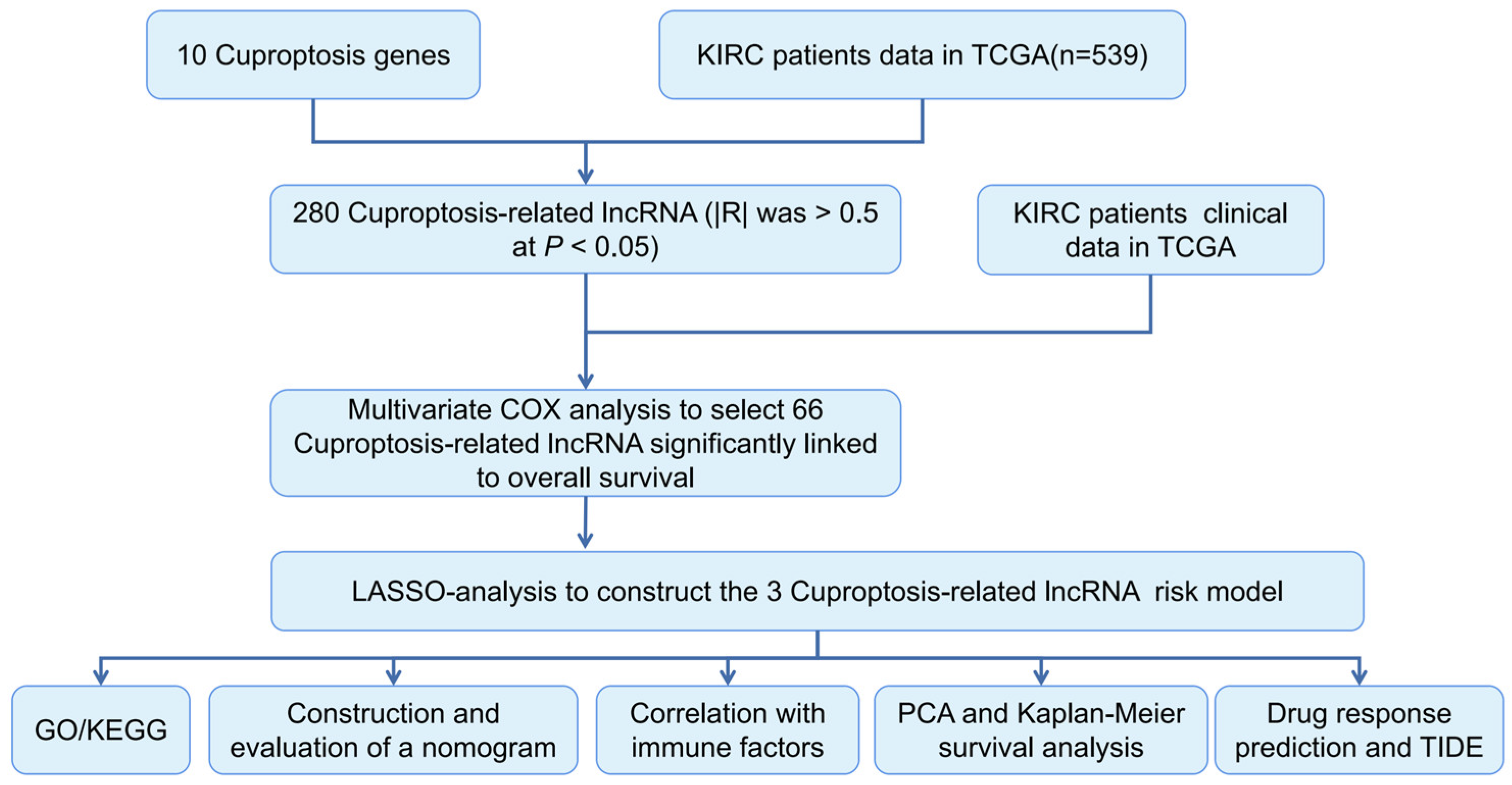 Biomolecules 12 01890 g001
