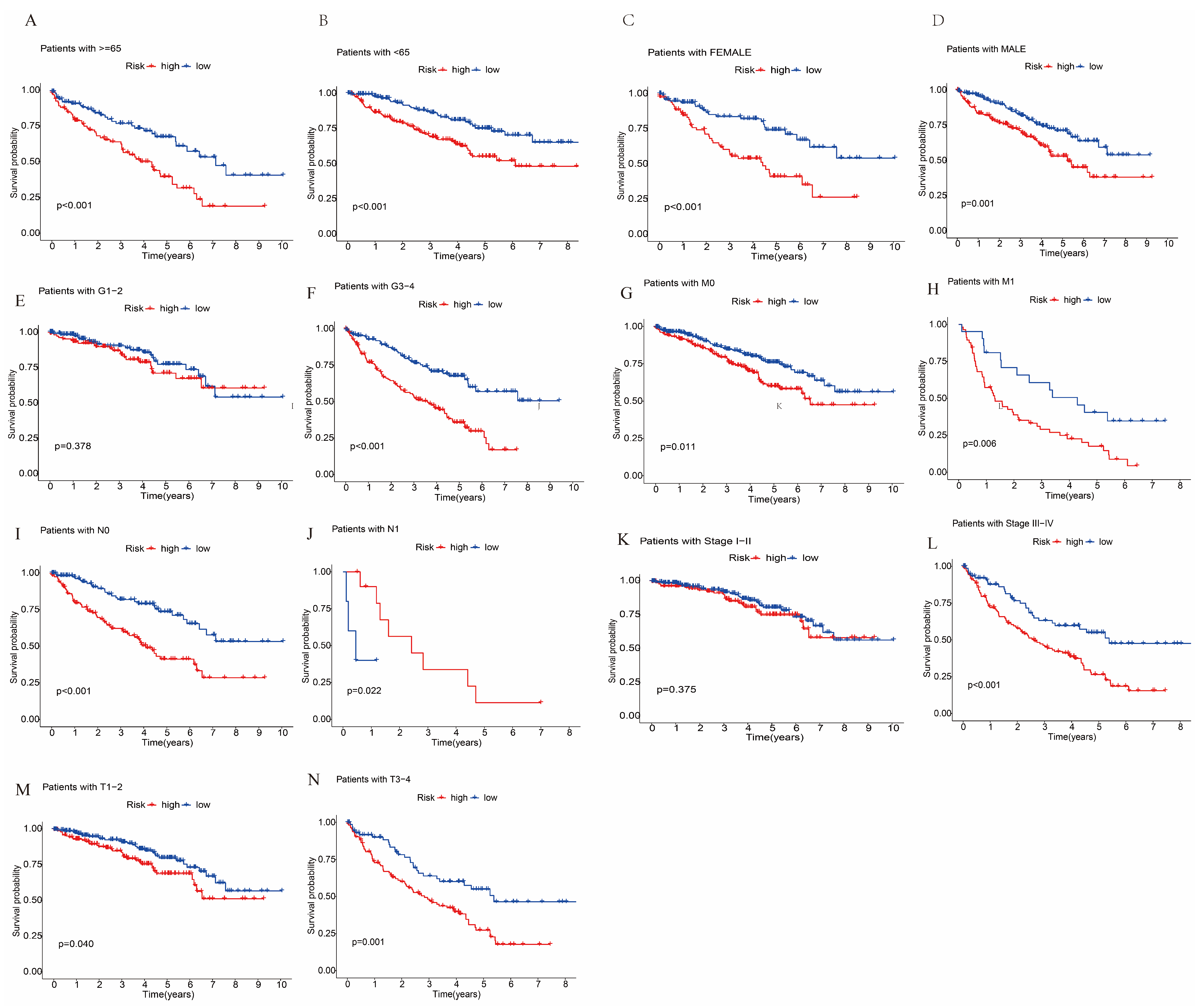 Biomolecules 12 01890 g010