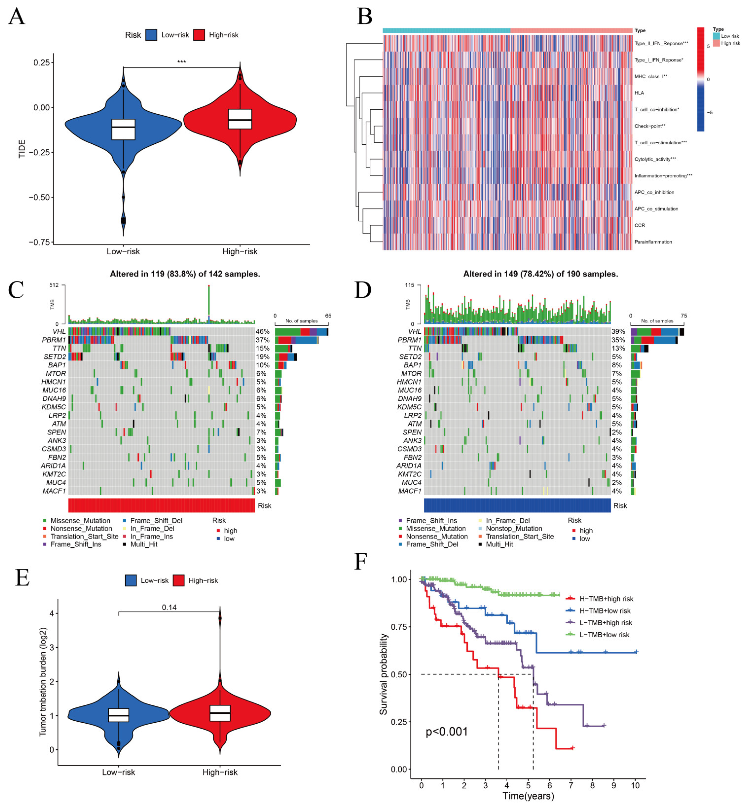 Biomolecules 12 01890 g012