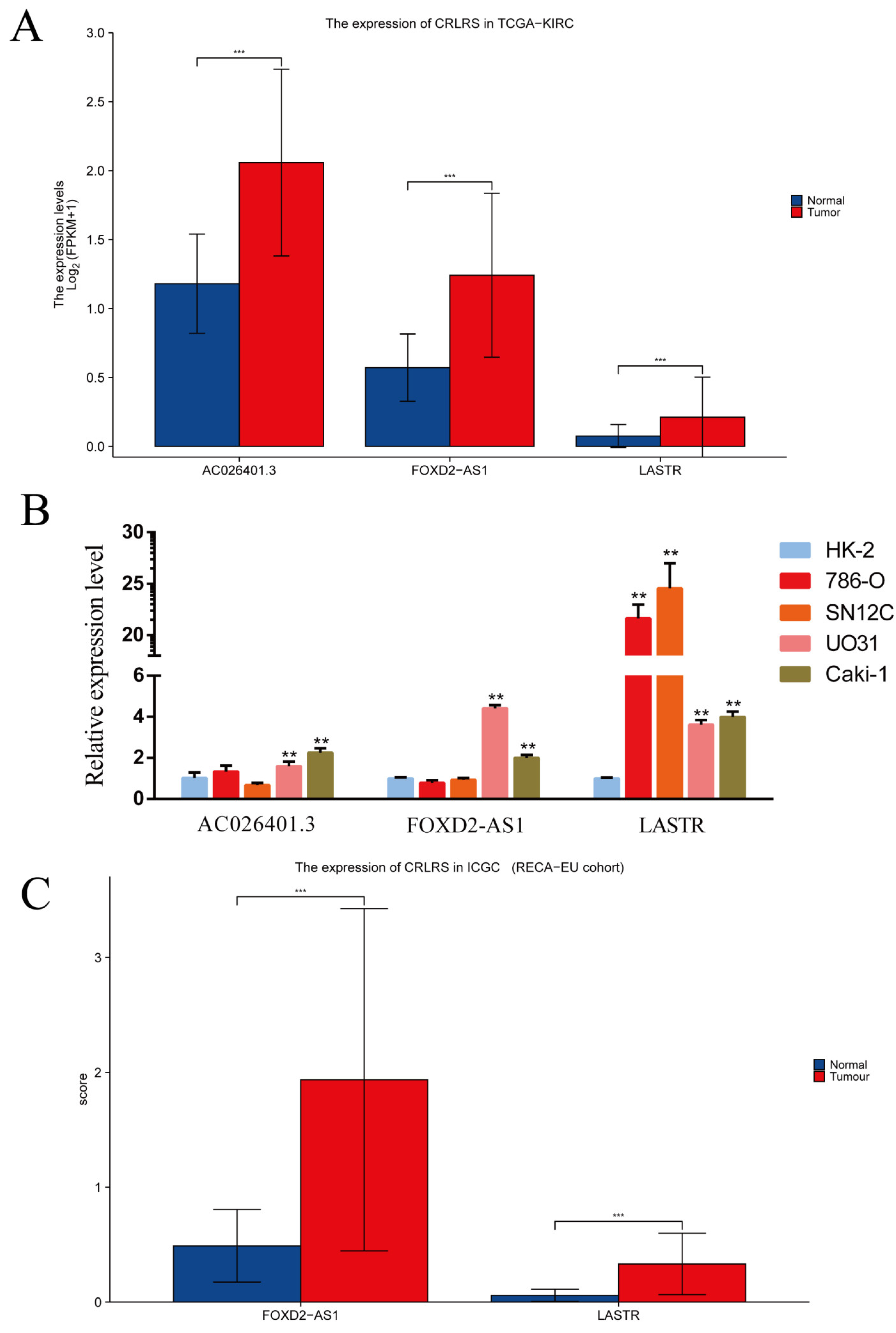 Biomolecules 12 01890 g013