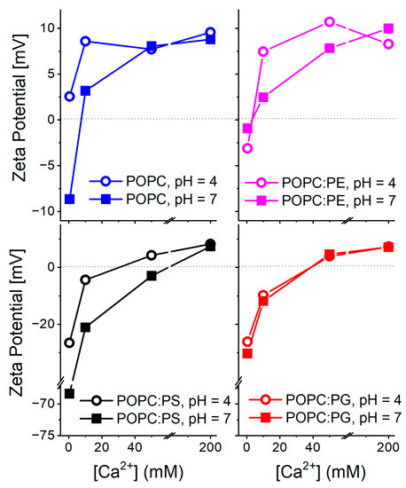 Modulation of Anionic Lipid Bilayers by Specific Interplay
