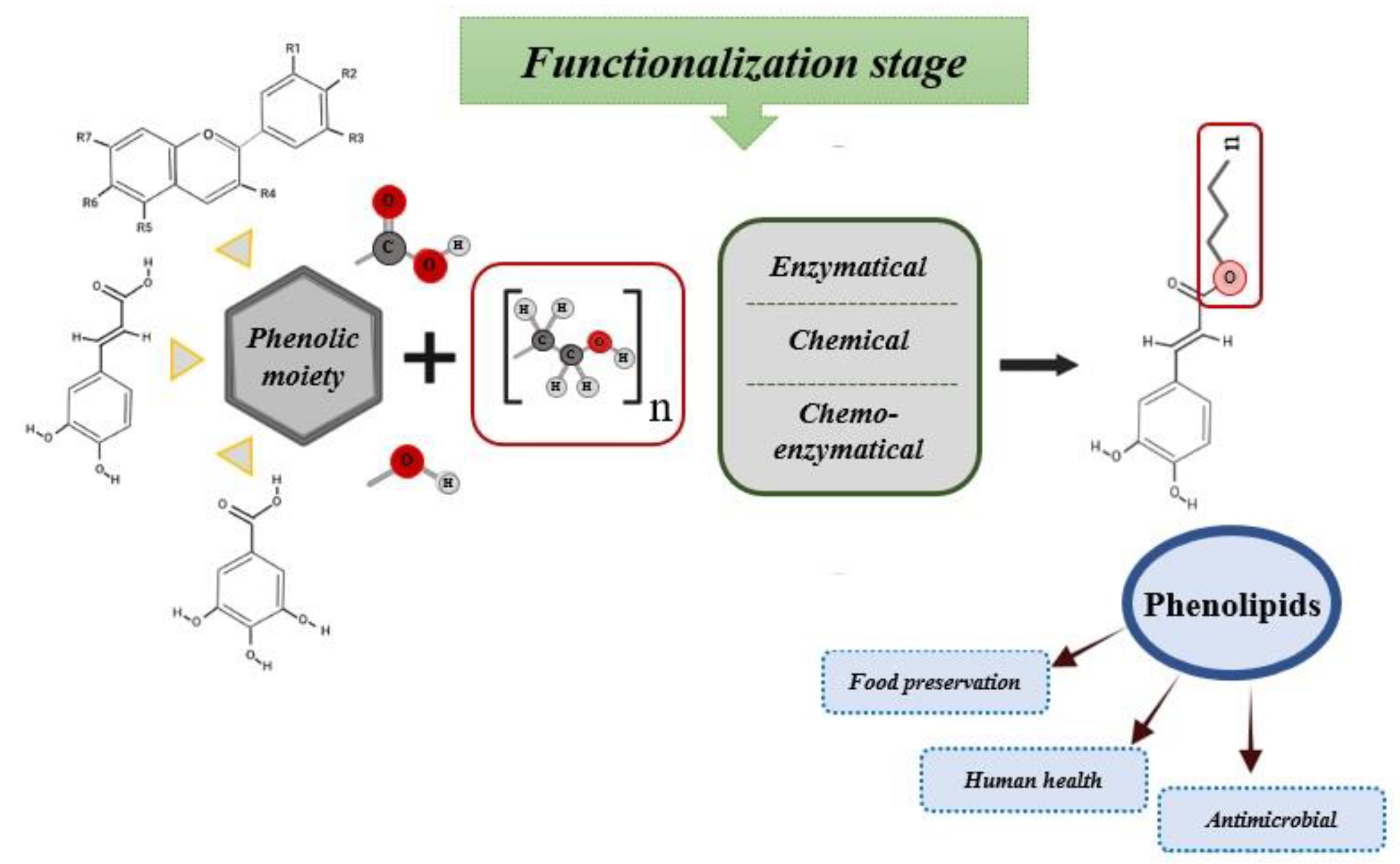 Biomolecules 12 01897 g001