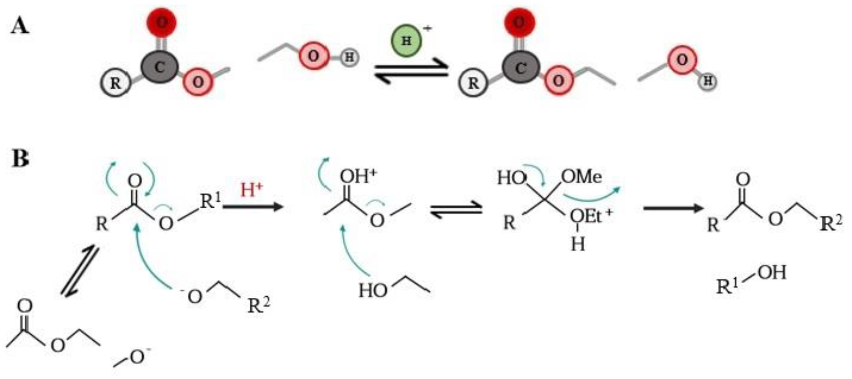 Biomolecules 12 01897 g003