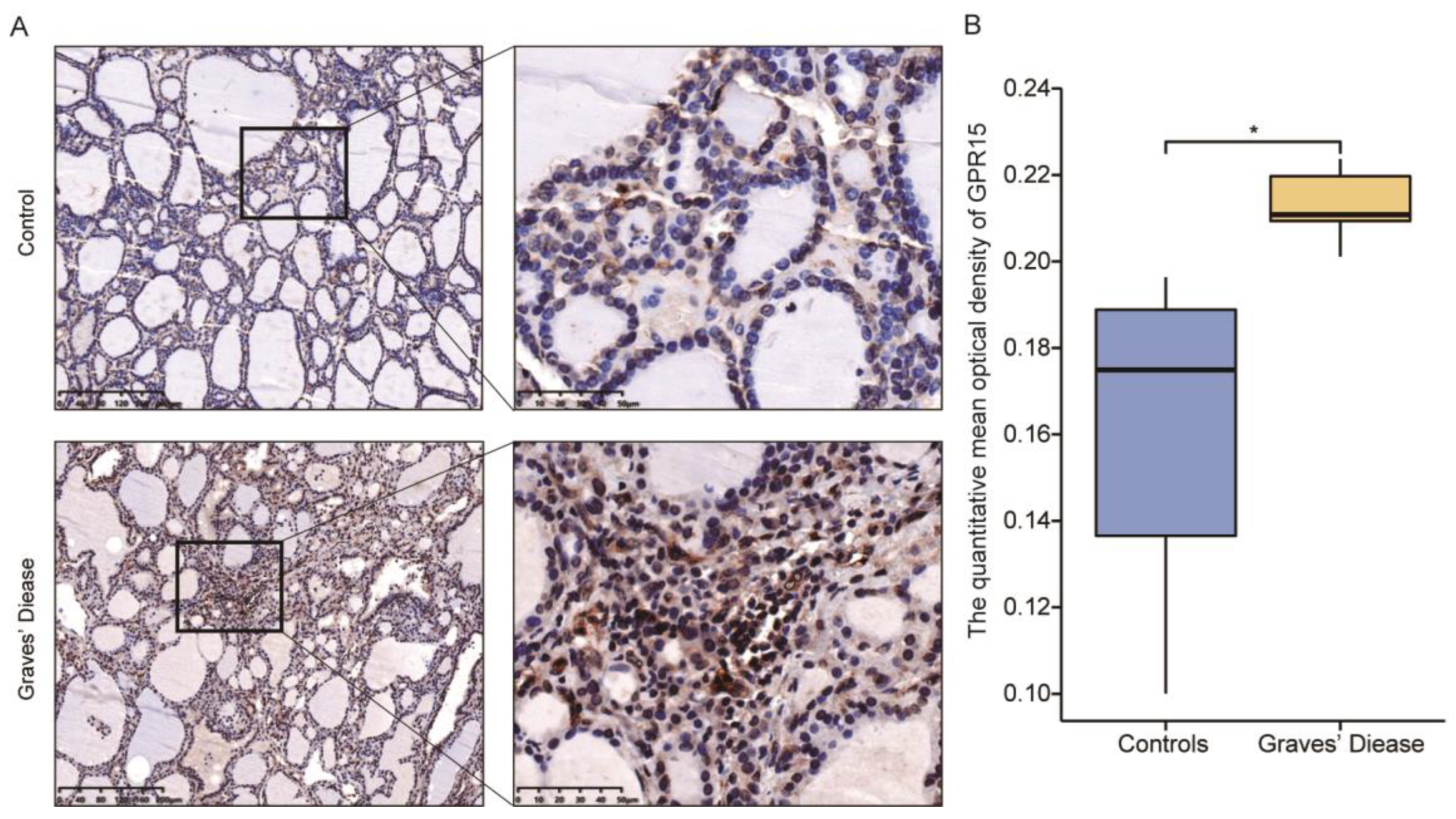 Biomolecules 12 01899 g004 Biomolecules 12 01899 g004