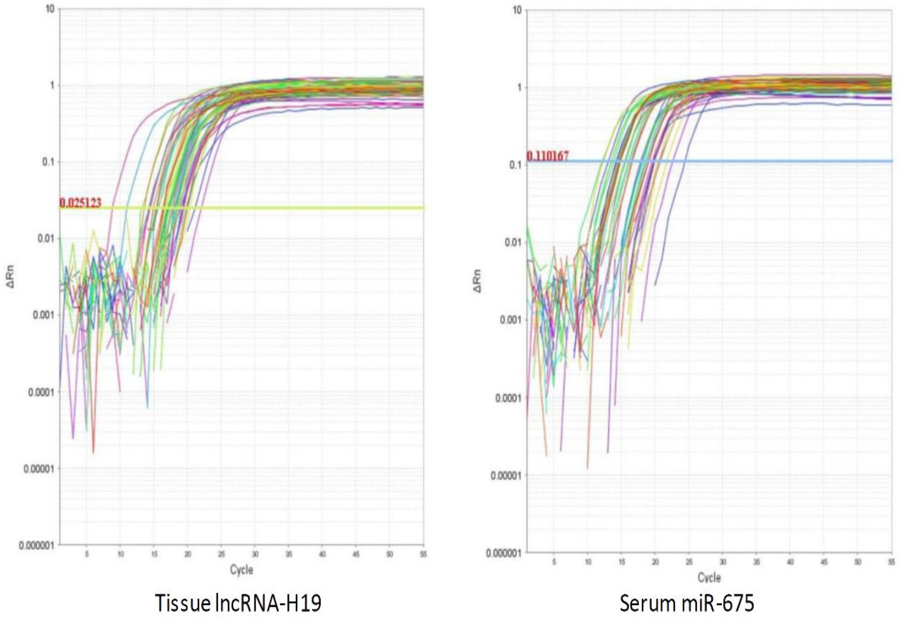 Biomolecules 13 00003 g001 Biomolecules 13 00003 g001
