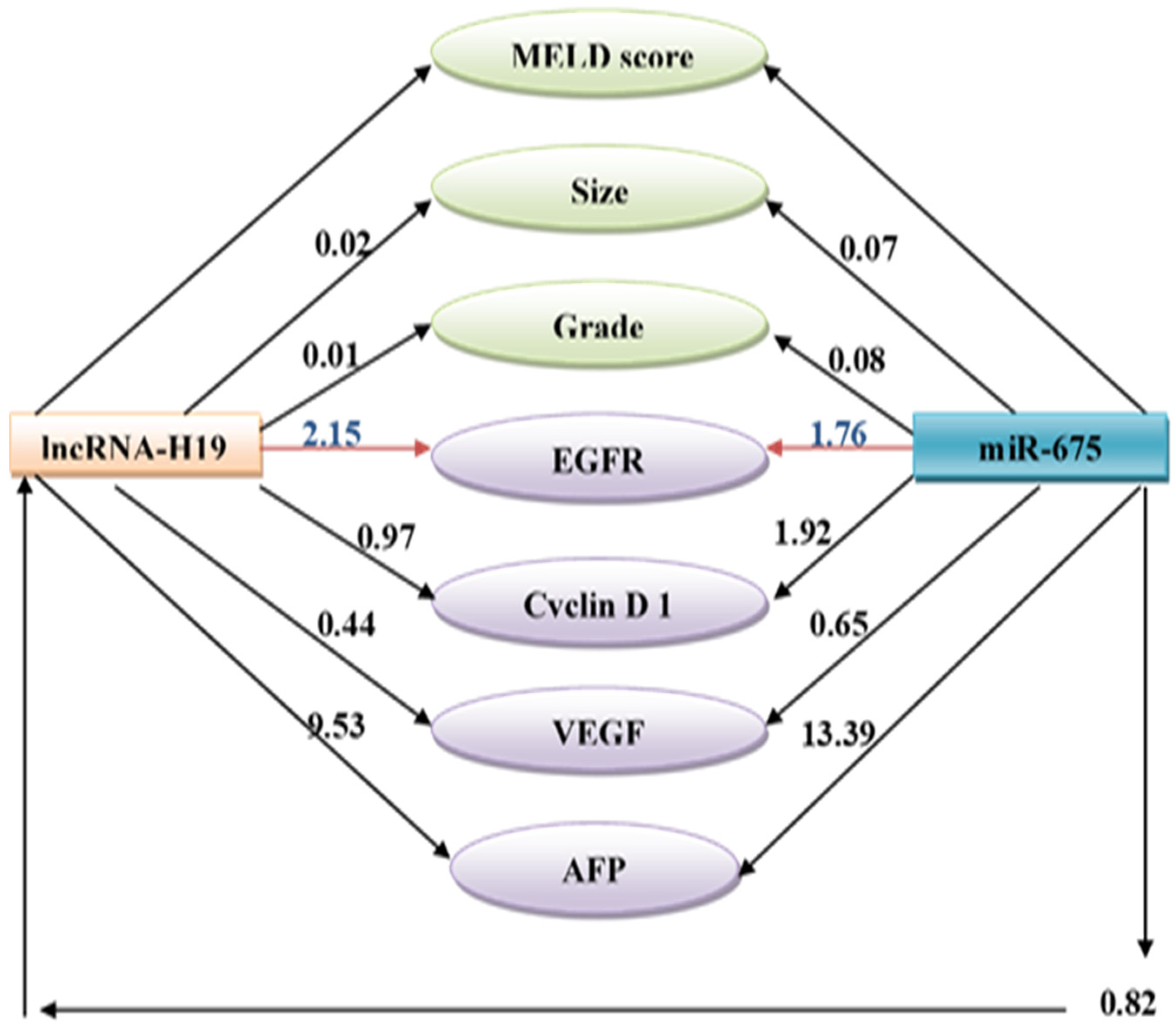 Biomolecules 13 00003 g003 Biomolecules 13 00003 g003