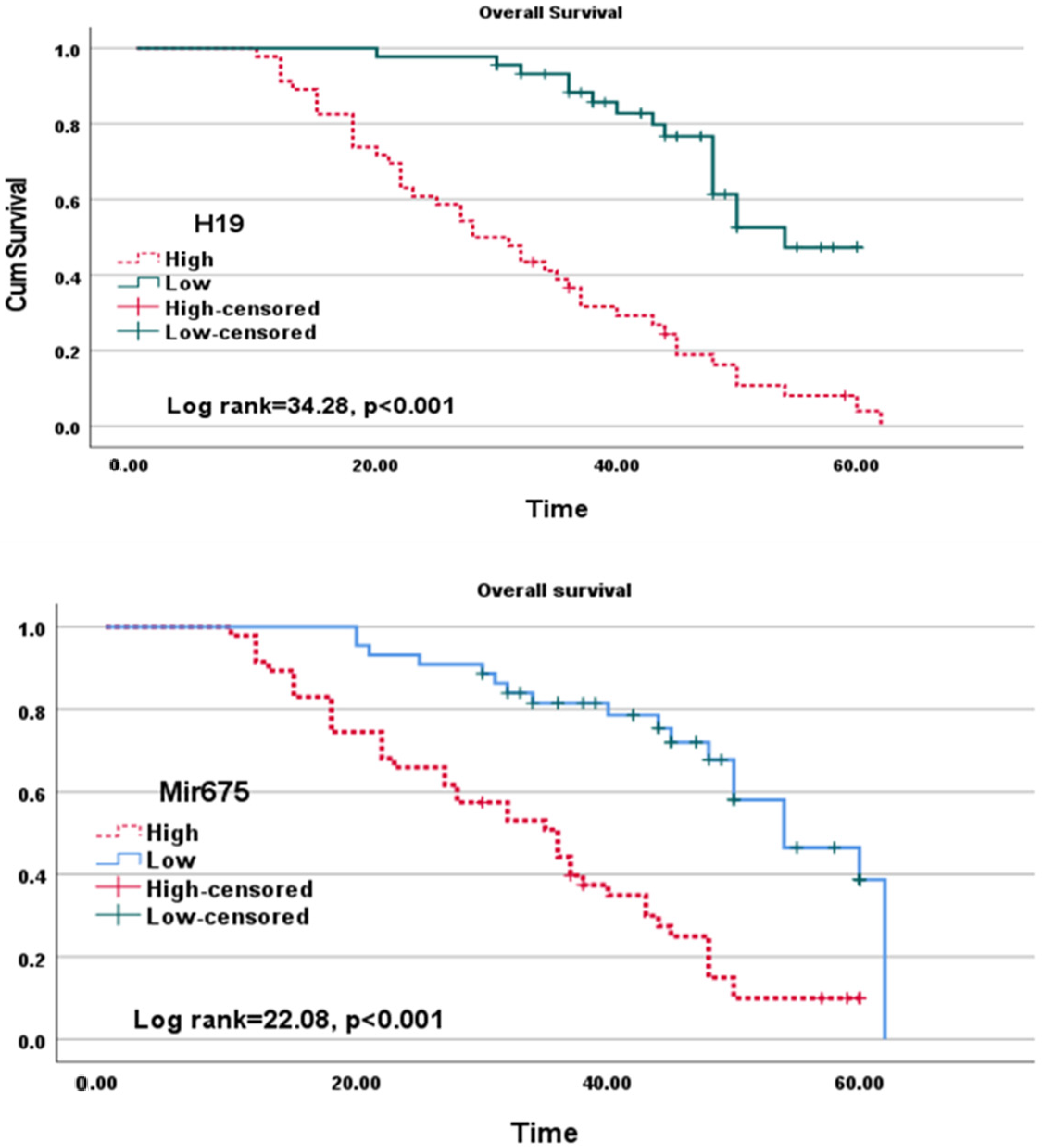 Biomolecules 13 00003 g005 Biomolecules 13 00003 g005