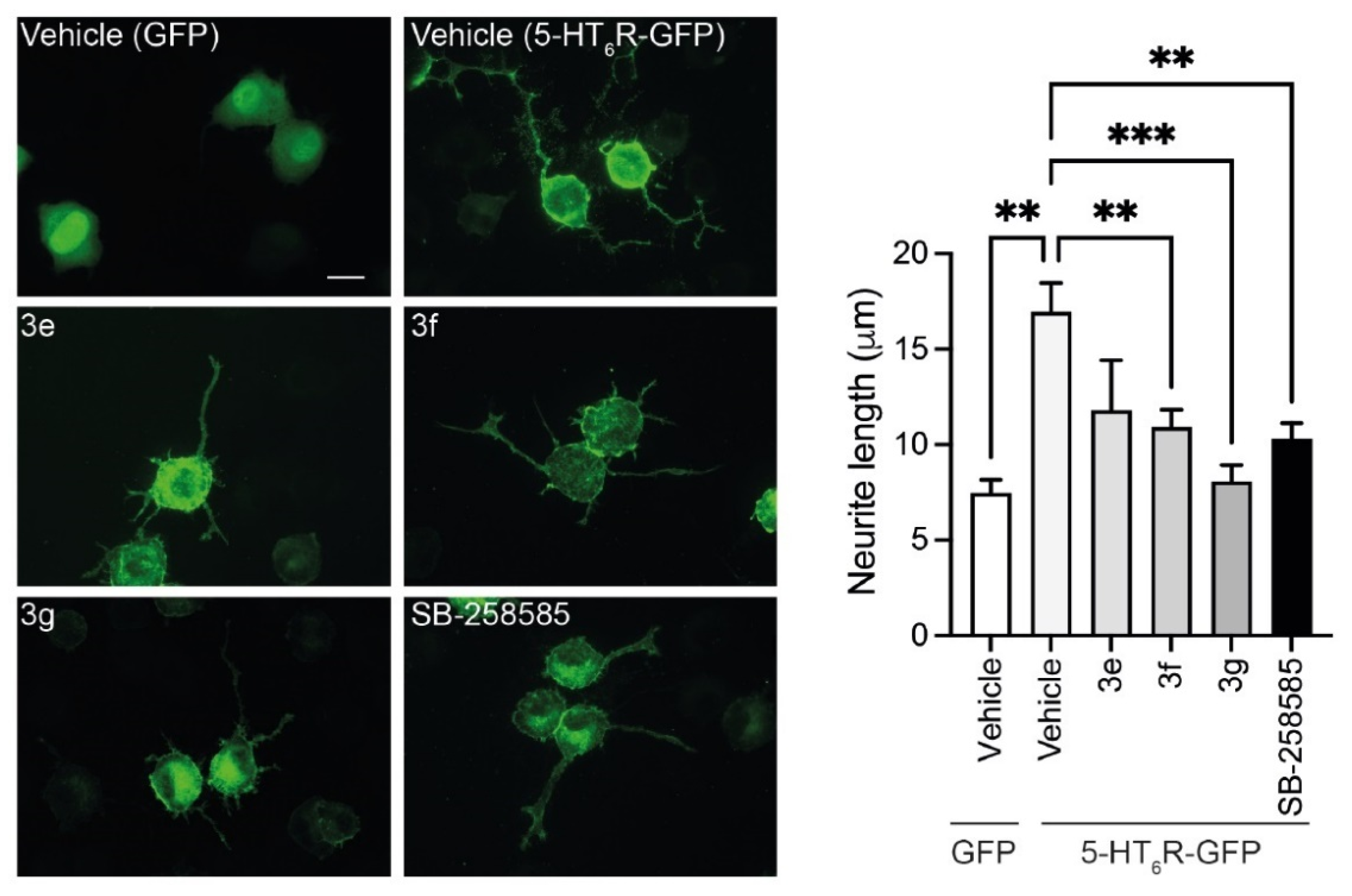 Biomolecules 13 00012 g004