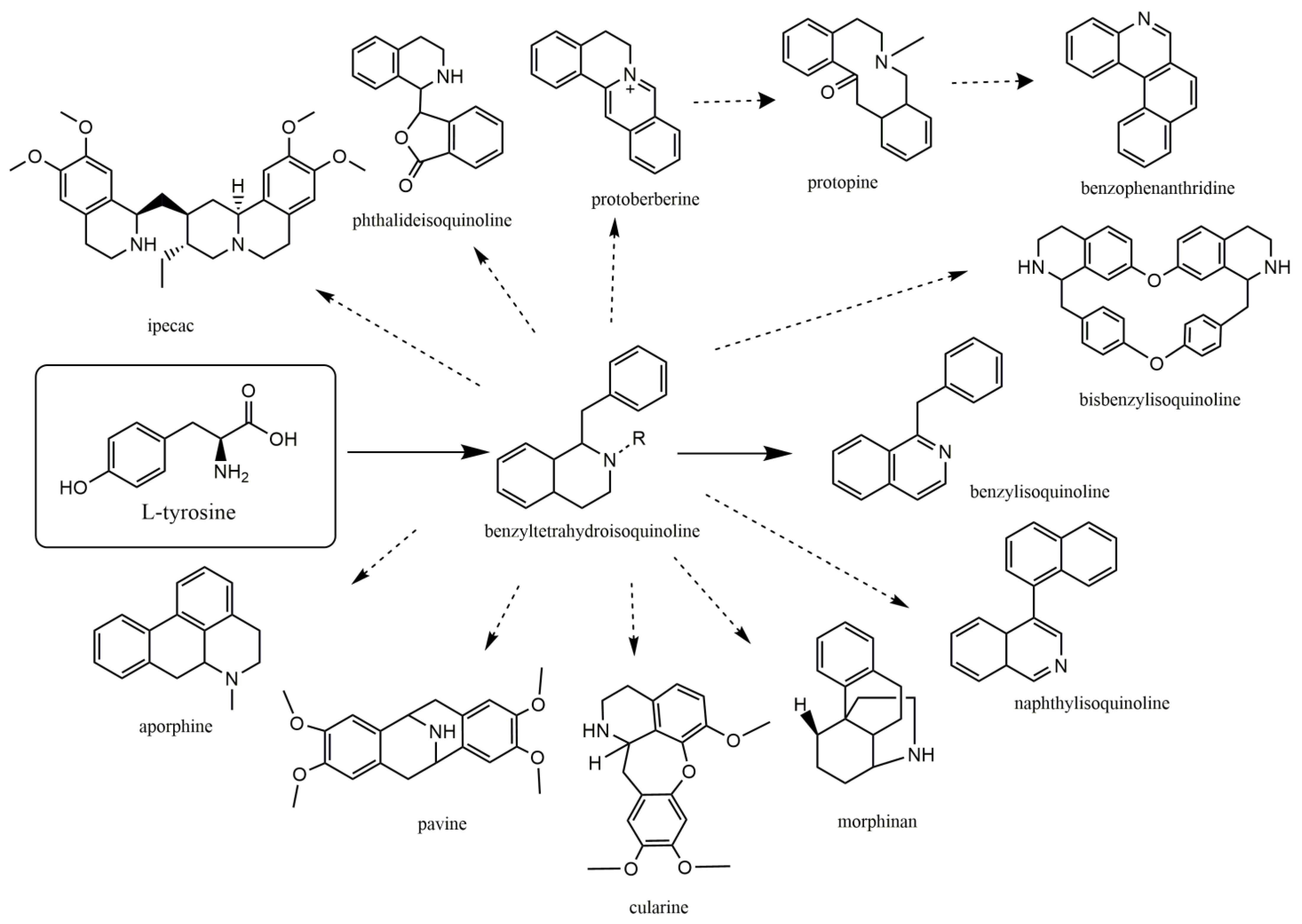 Biomolecules 13 00017 g001 Biomolecules 13 00017 g001