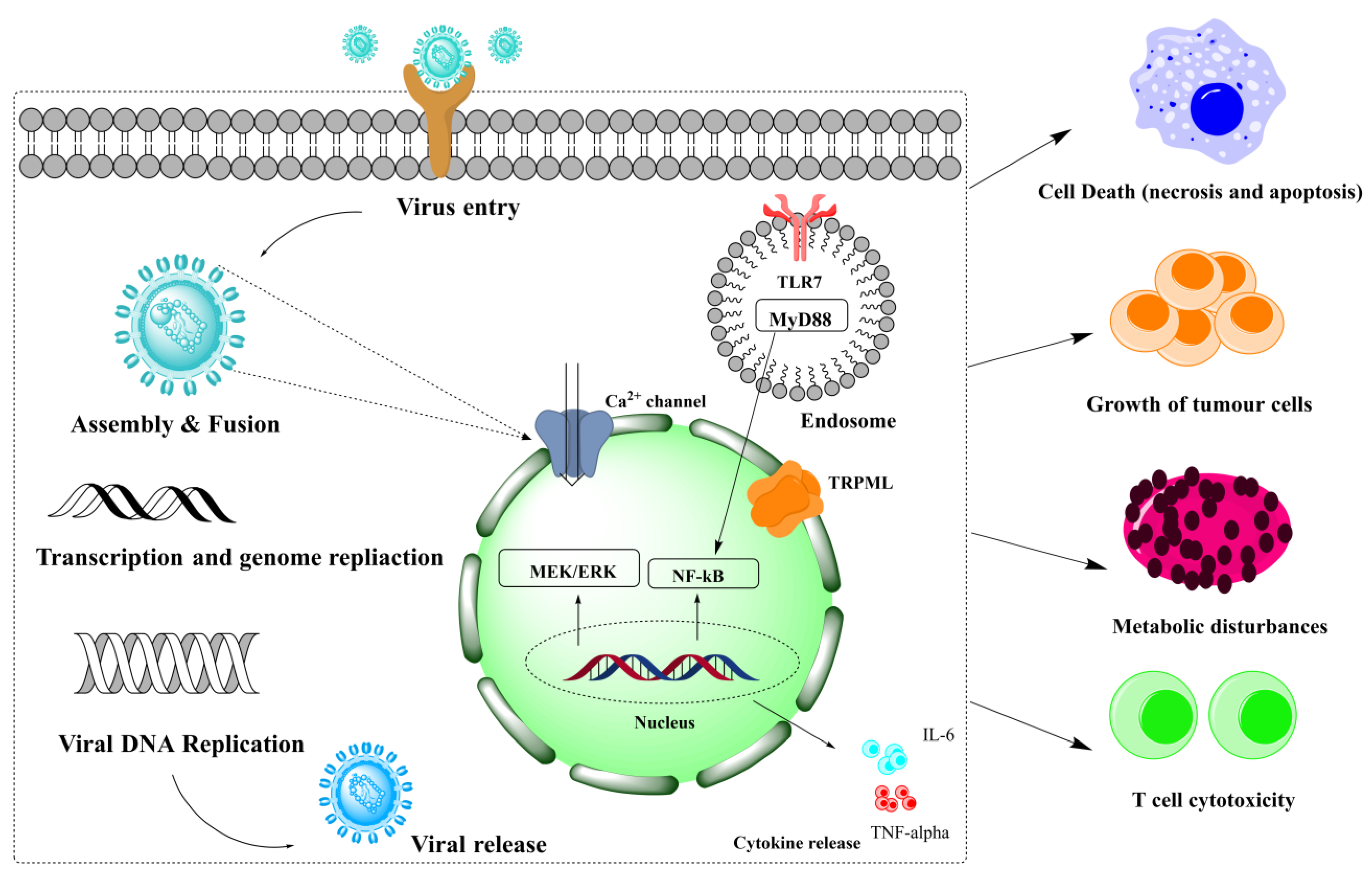 Biomolecules 13 00017 g002 Biomolecules 13 00017 g002