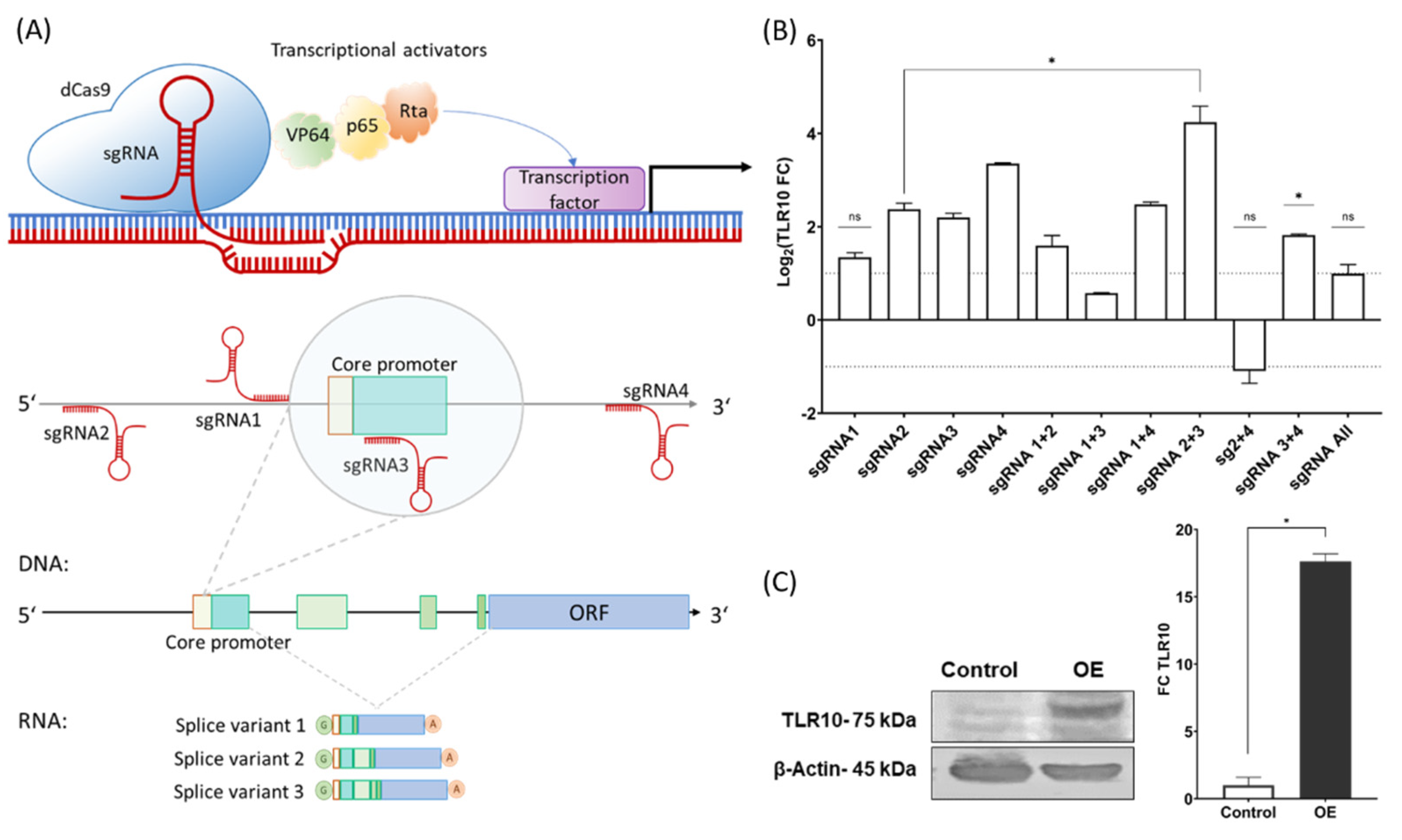 Biomolecules 13 00019 g001