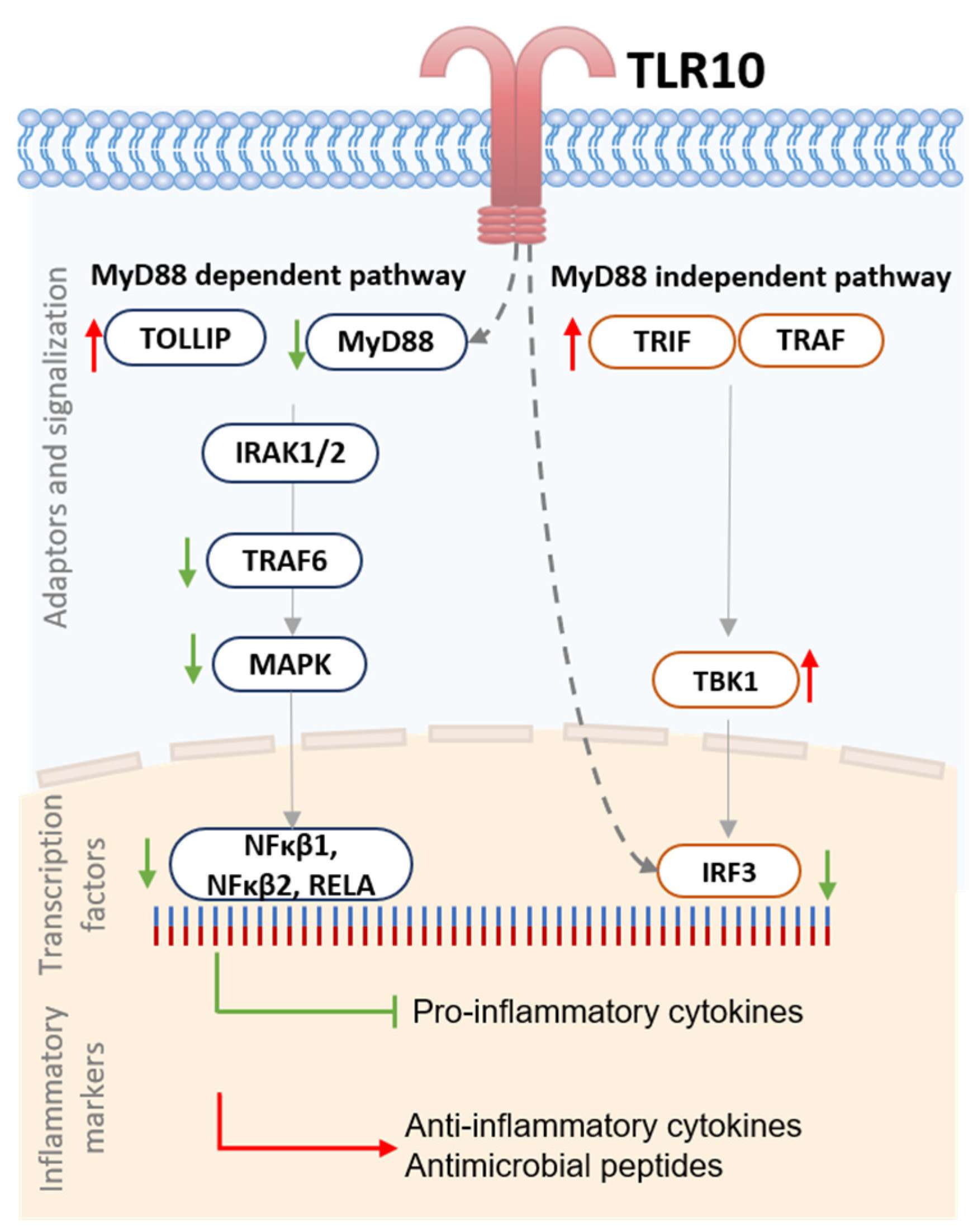 Biomolecules 13 00019 g005