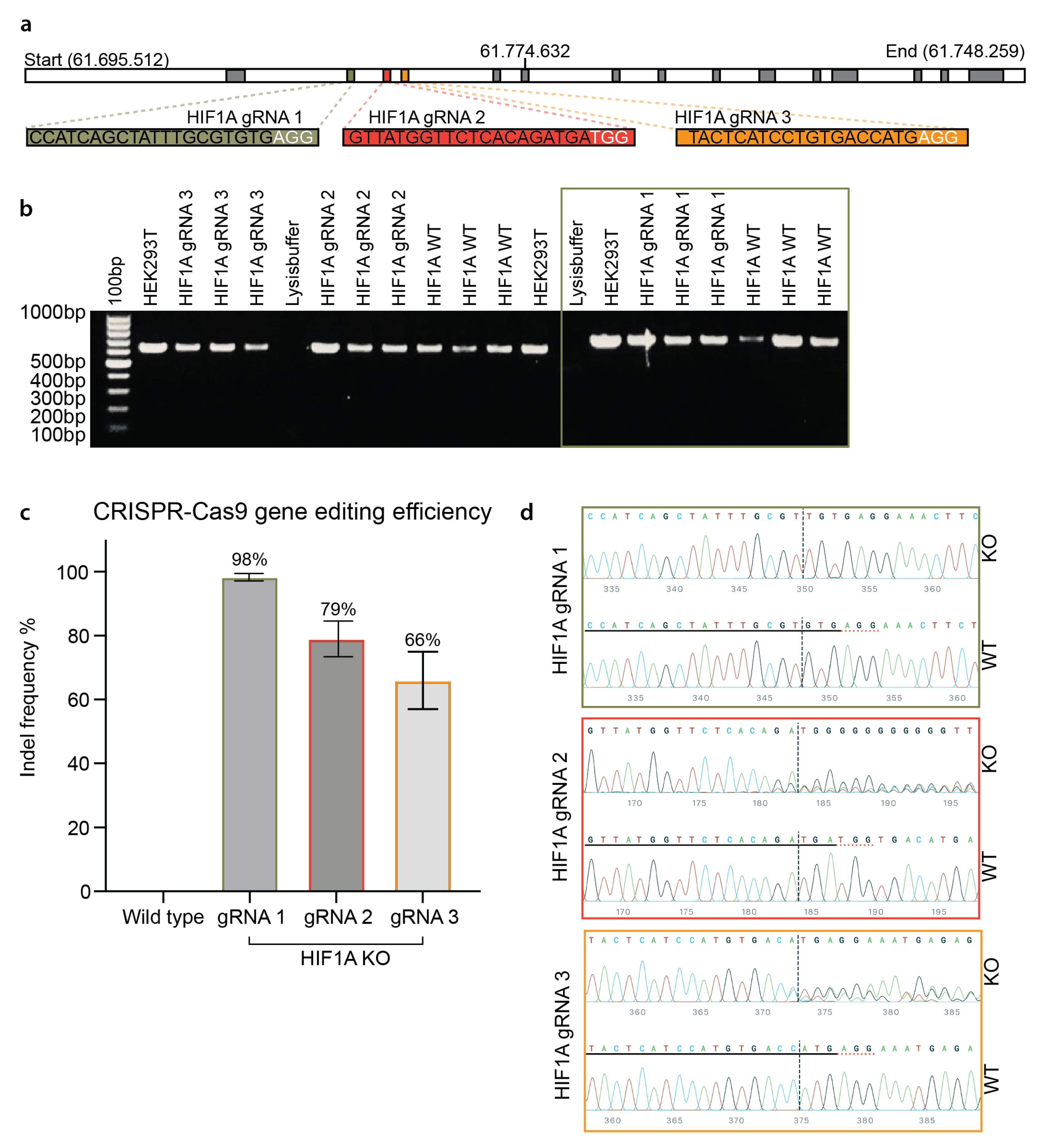 Biomolecules 13 00023 g002 Biomolecules 13 00023 g002
