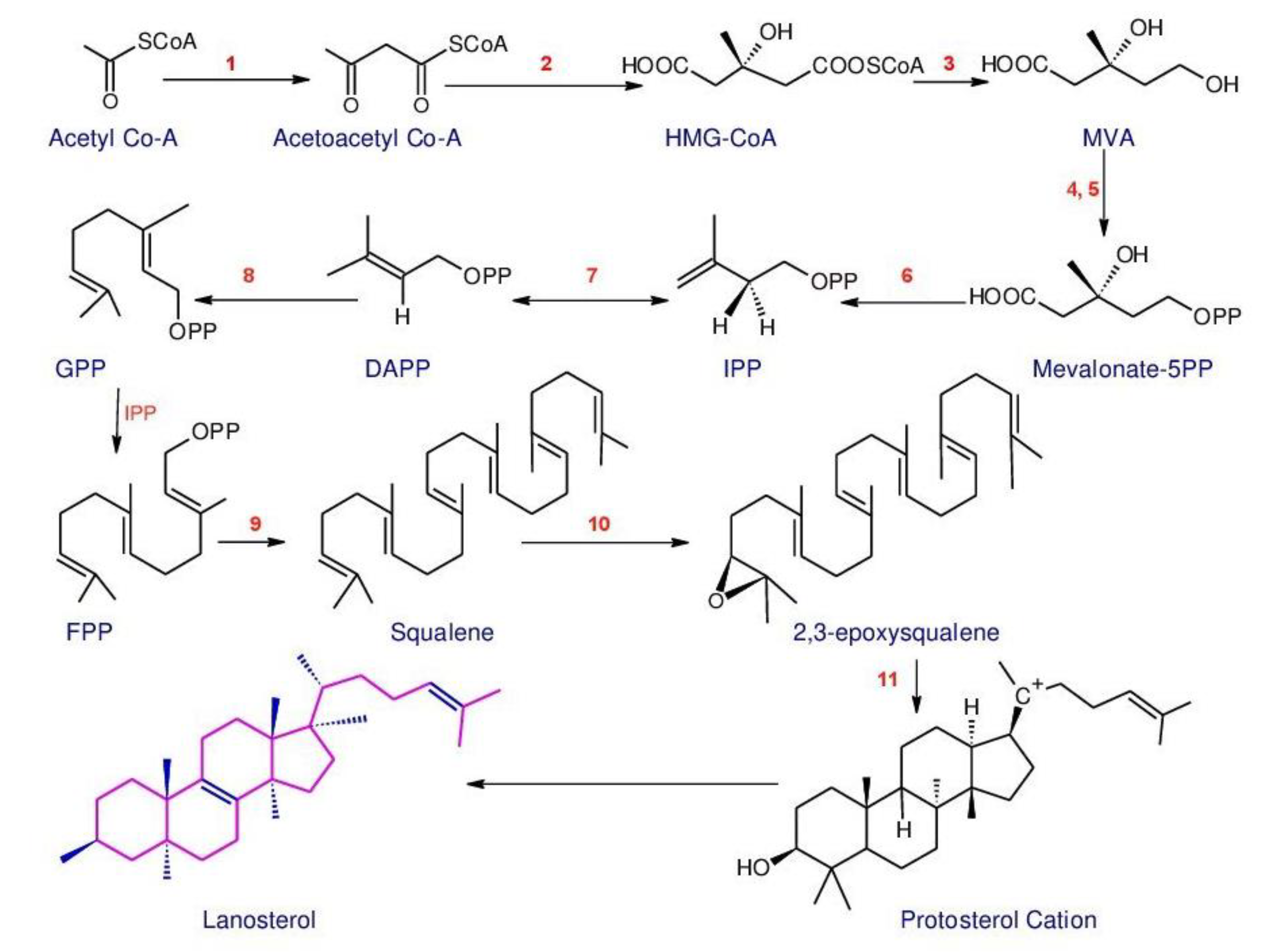 Biomolecules 13 00024 g001