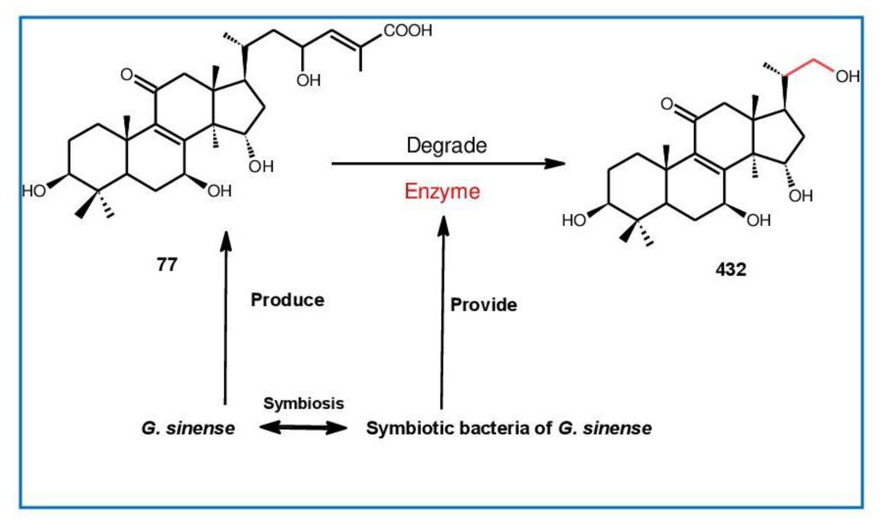 Biomolecules 13 00024 g014