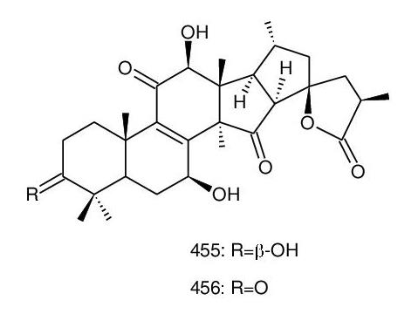 Biomolecules 13 00024 g021