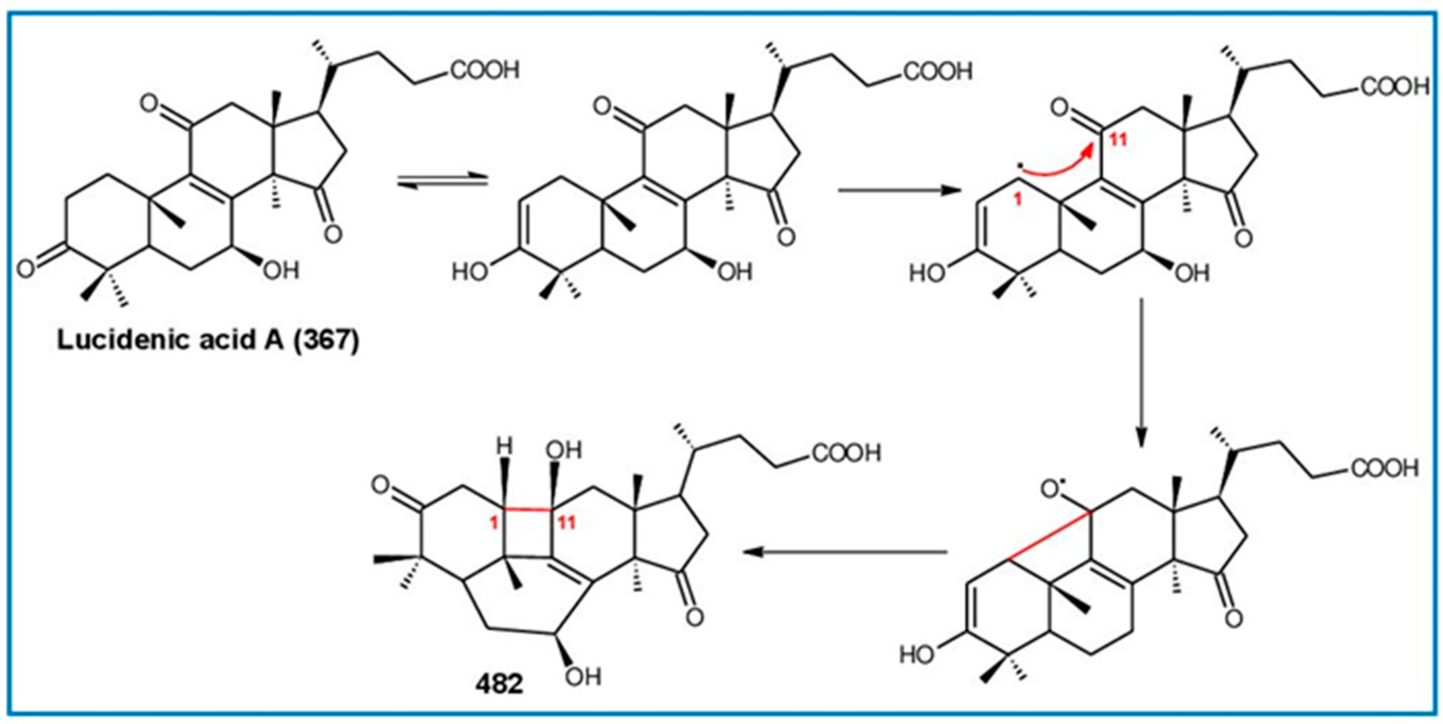 Biomolecules 13 00024 g030