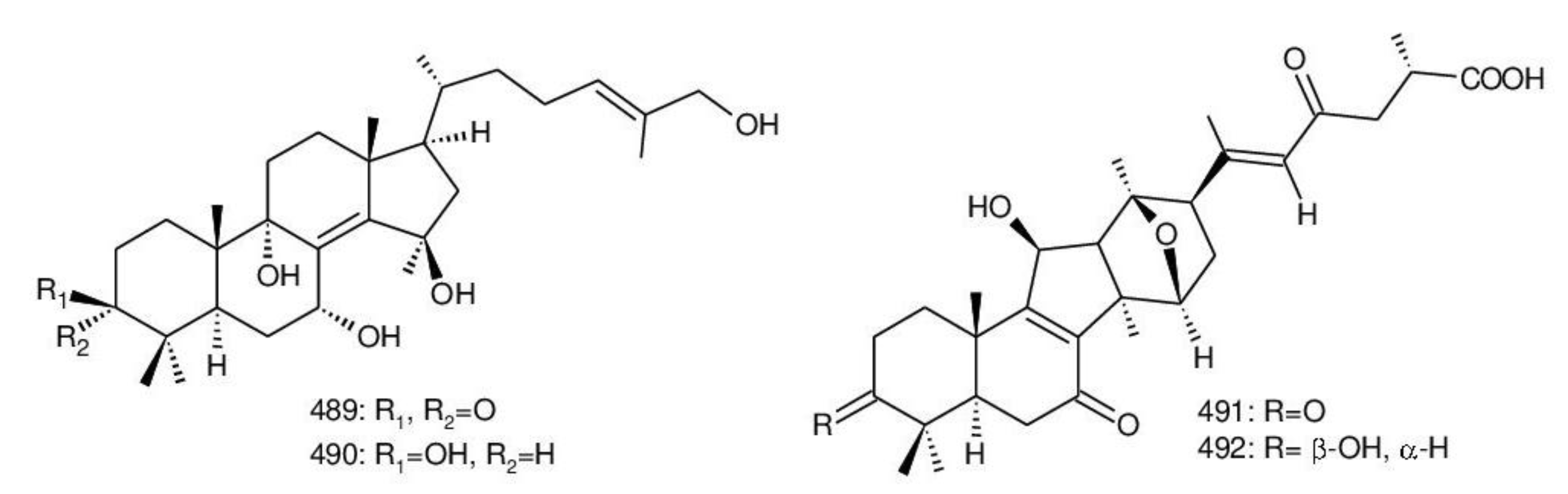 Biomolecules 13 00024 g033