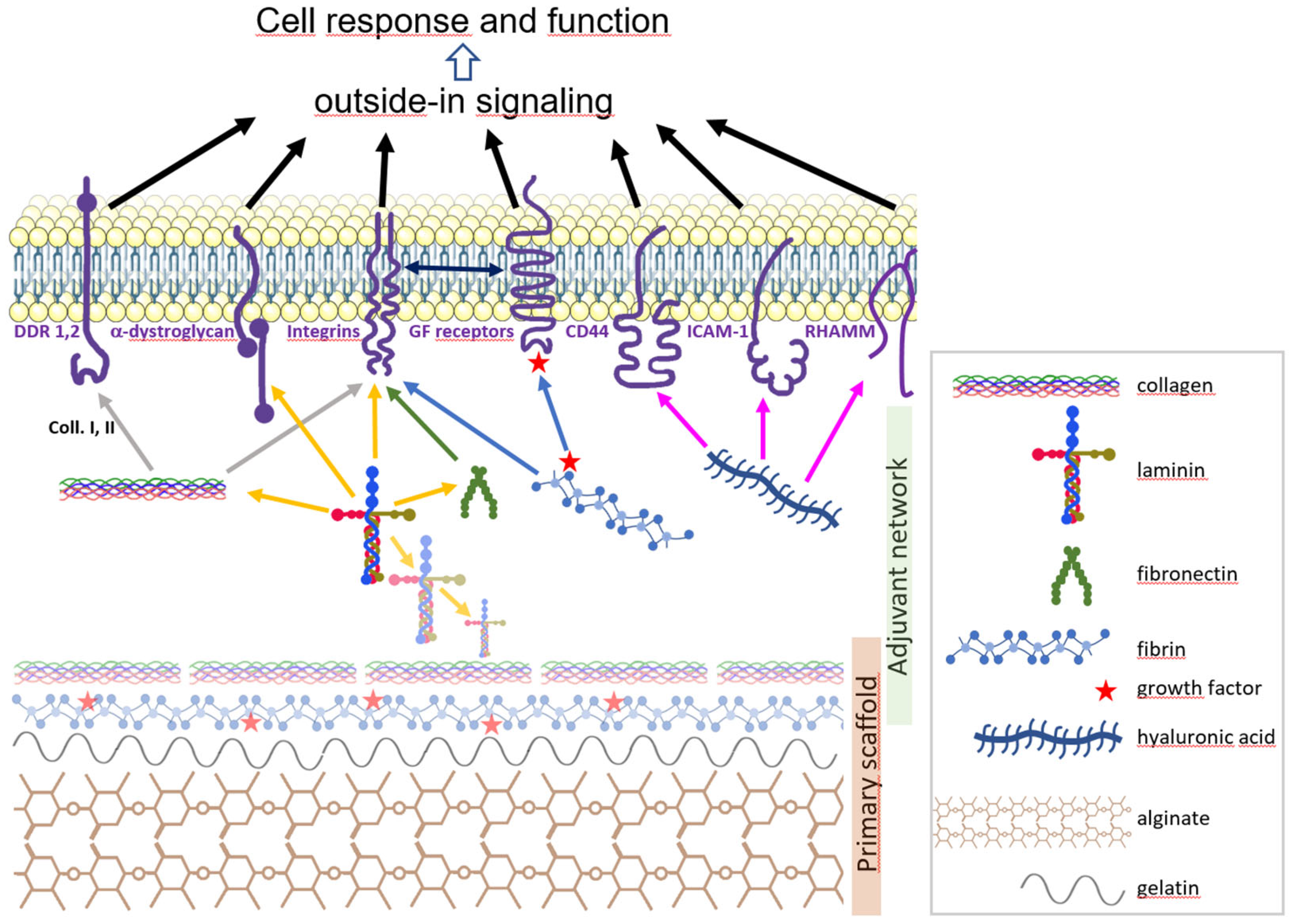 Biomolecules 13 00025 g001 Biomolecules 13 00025 g001