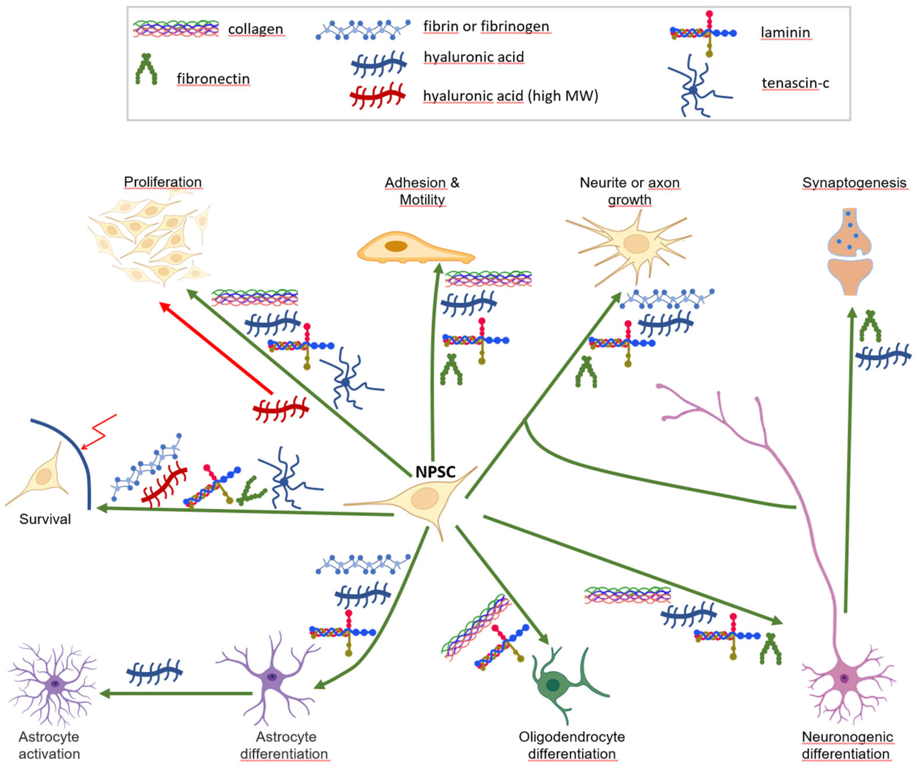 Biomolecules 13 00025 g002 Biomolecules 13 00025 g002