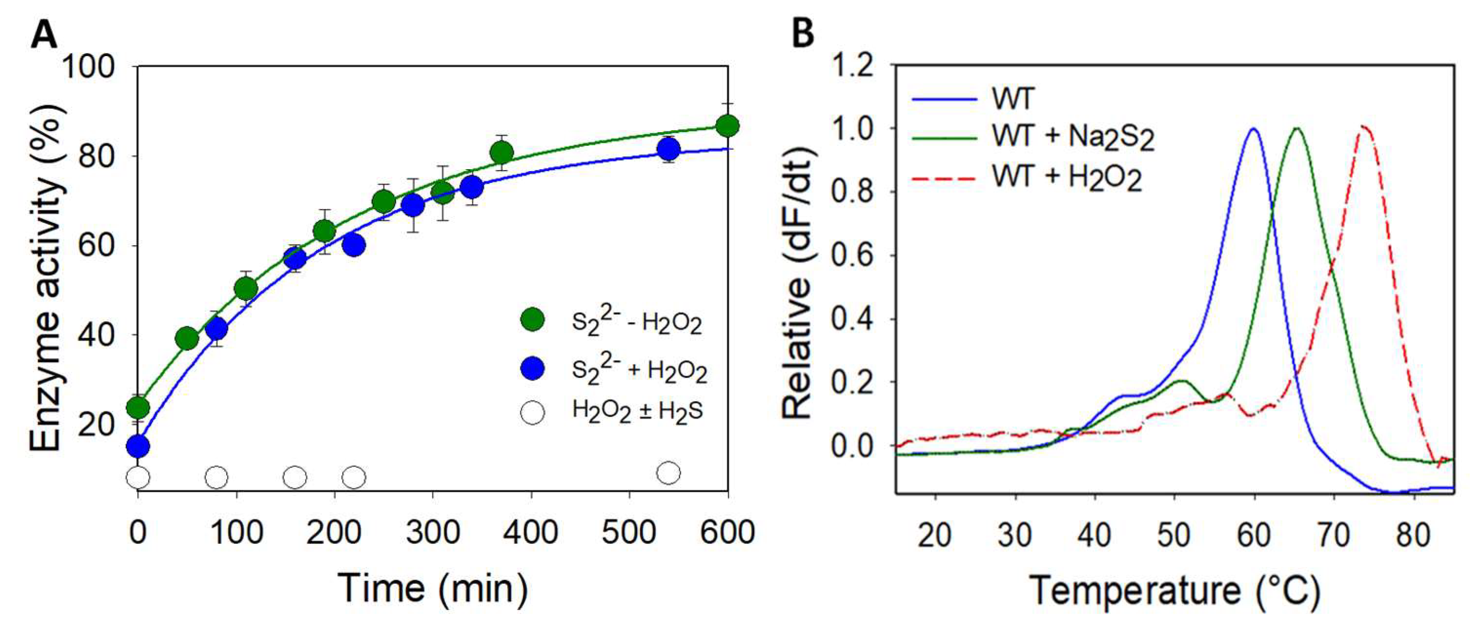 Biomolecules 13 00027 g004 Biomolecules 13 00027 g004