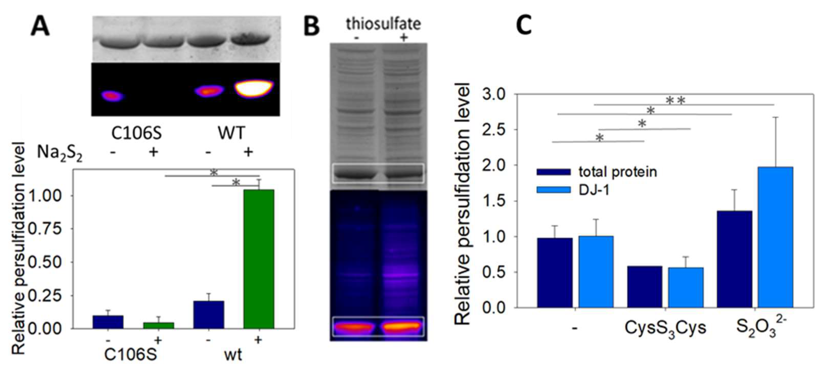Biomolecules 13 00027 g005 Biomolecules 13 00027 g005