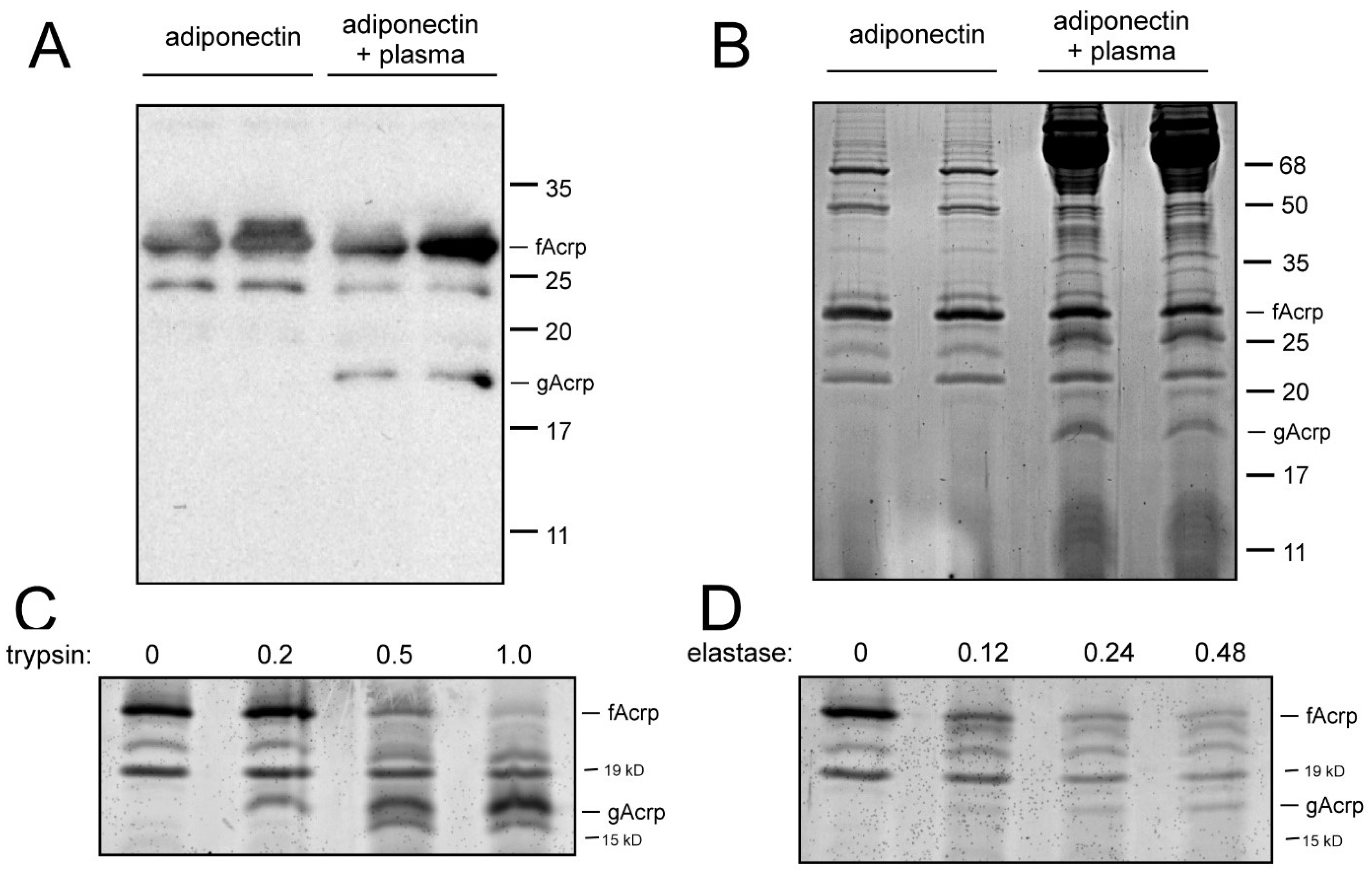 Biomolecules 13 00030 g001