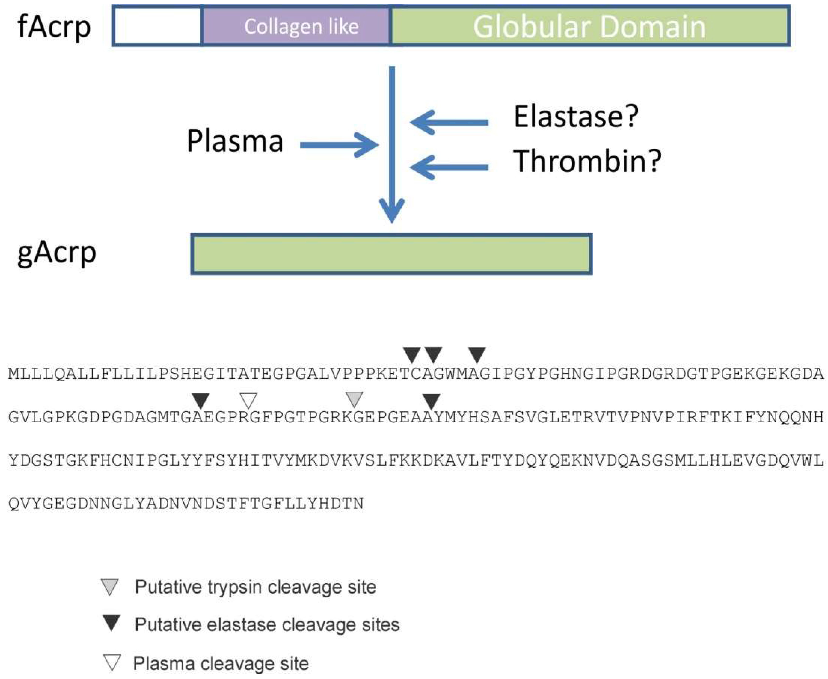 Biomolecules 13 00030 g003