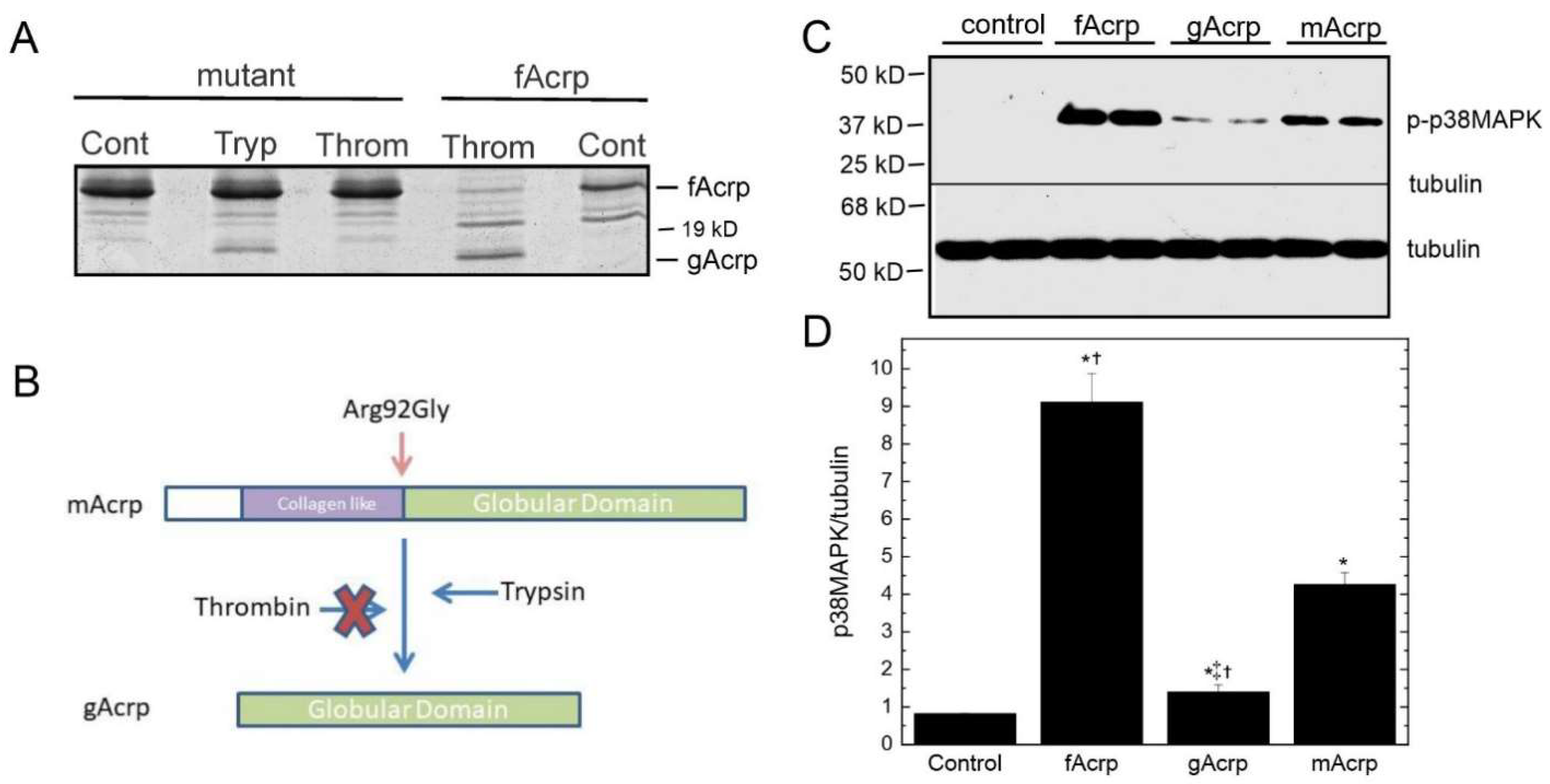 Biomolecules 13 00030 g005