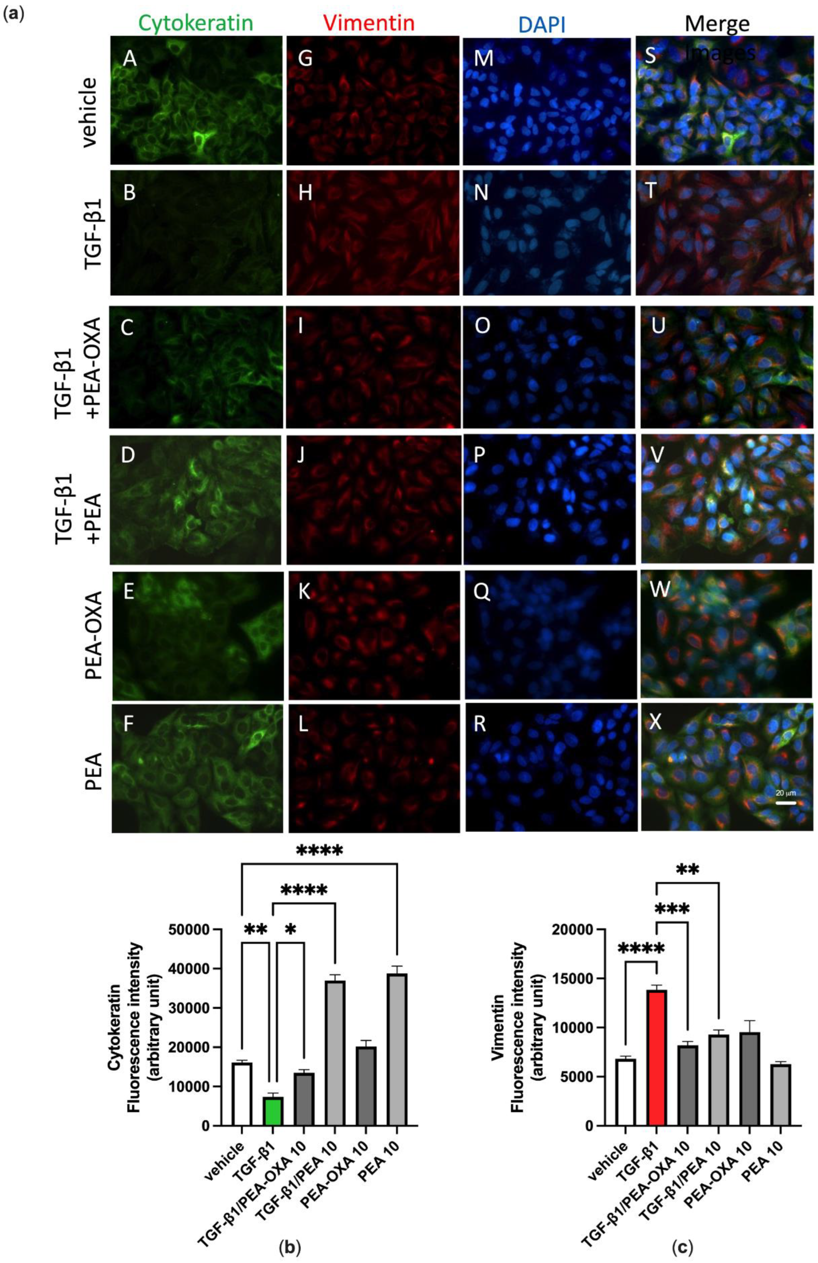 Biomolecules 13 00033 g005 Biomolecules 13 00033 g005