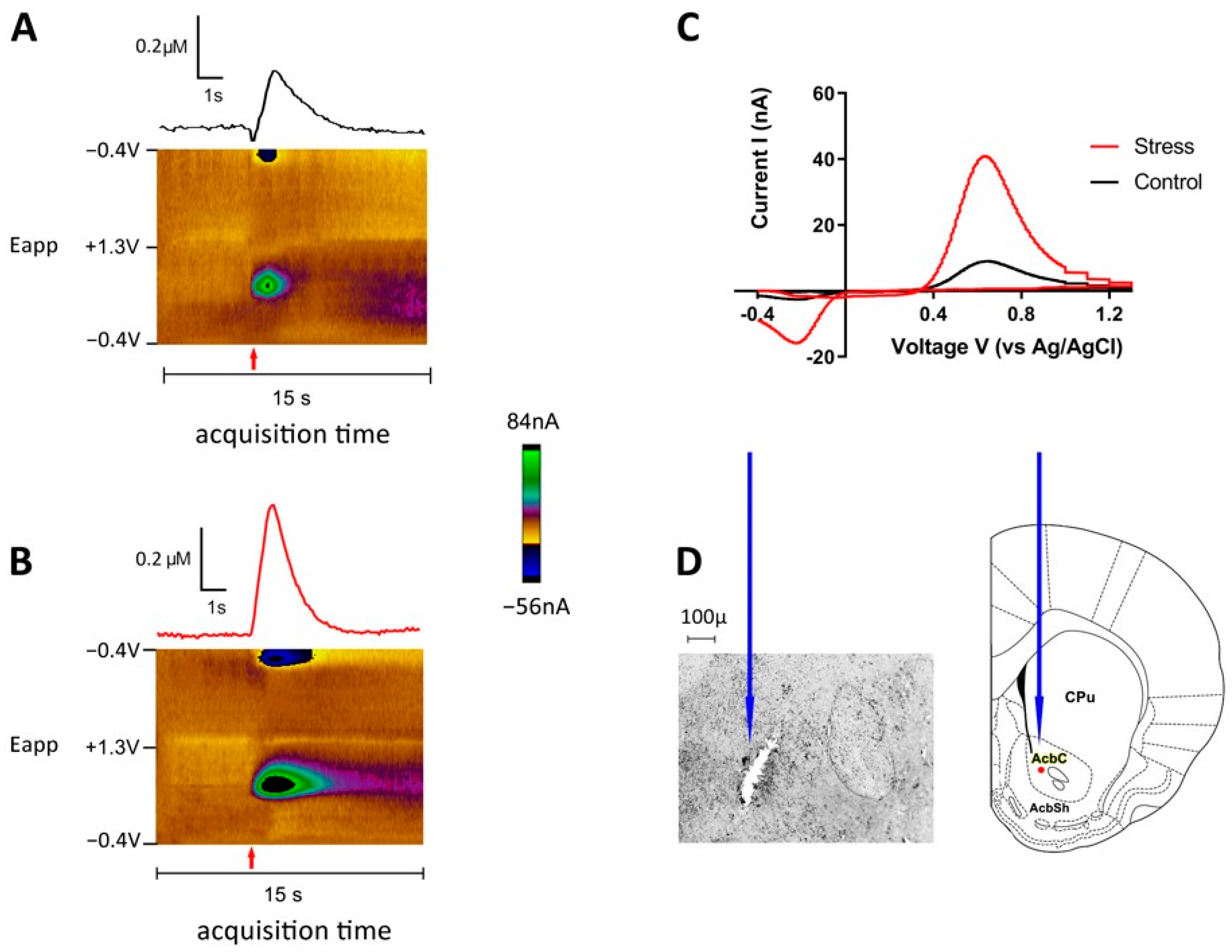 Biomolecules 13 00035 g004