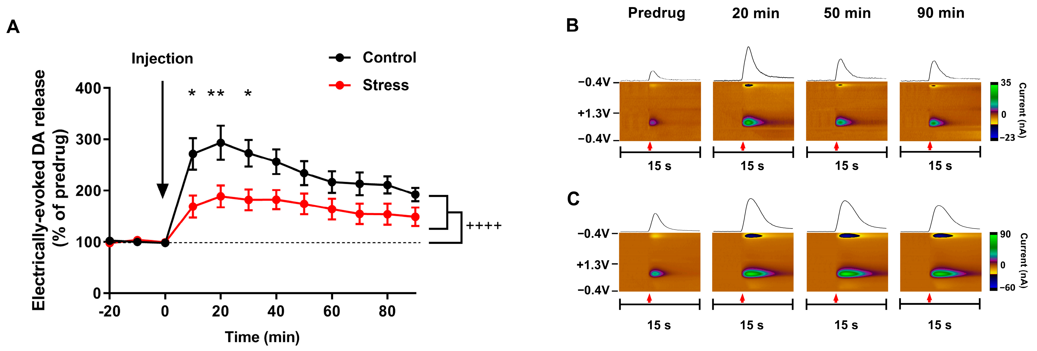 Biomolecules 13 00035 g006