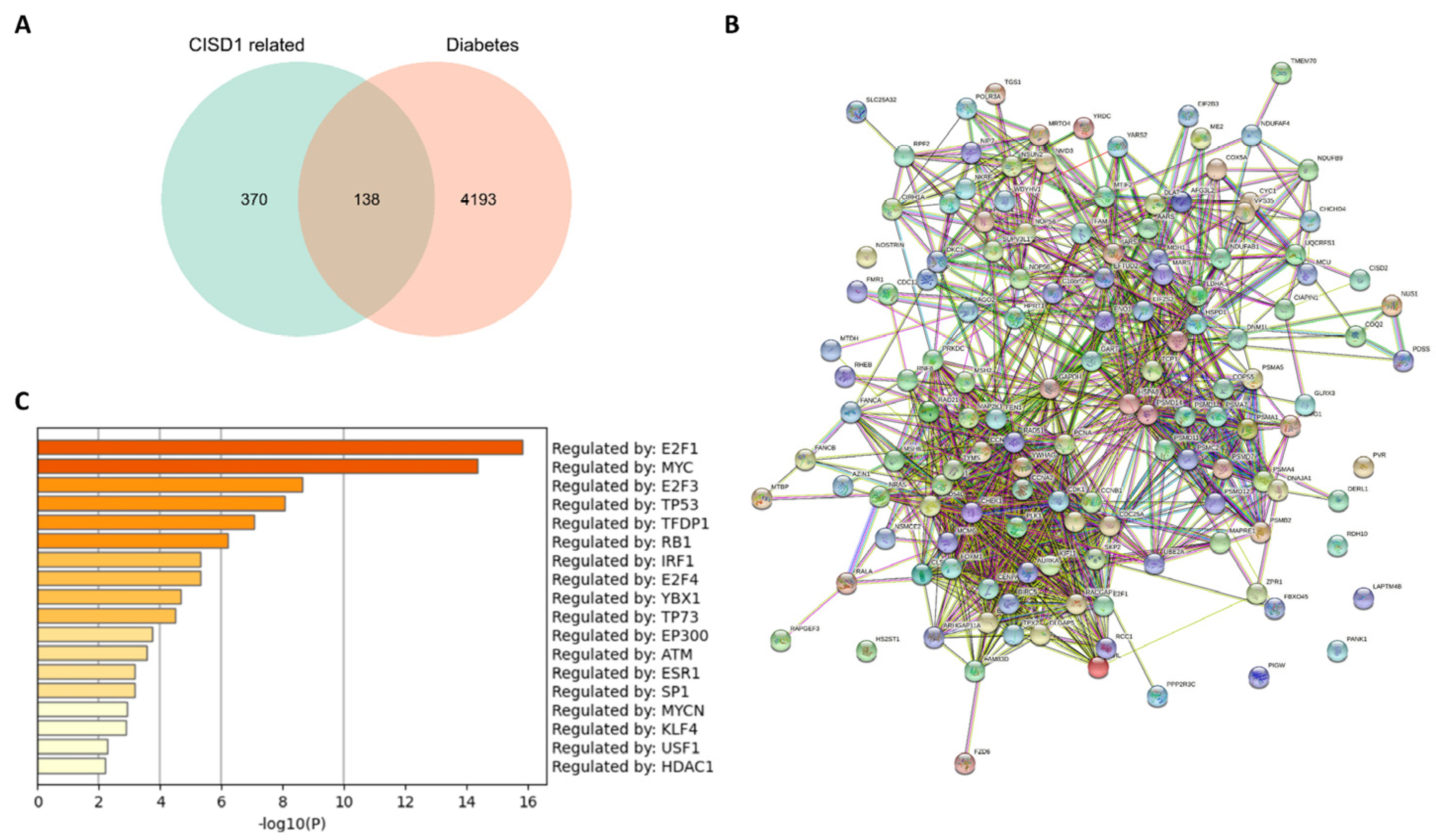 Biomolecules 13 00037 g005 Biomolecules 13 00037 g005