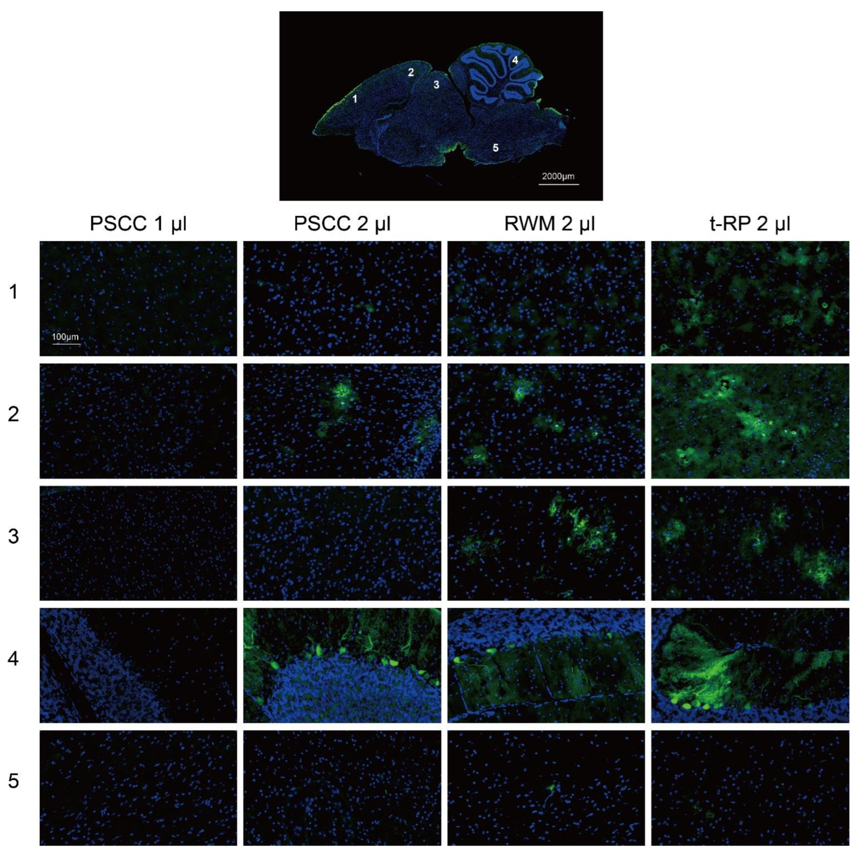 Biomolecules 13 00038 g004