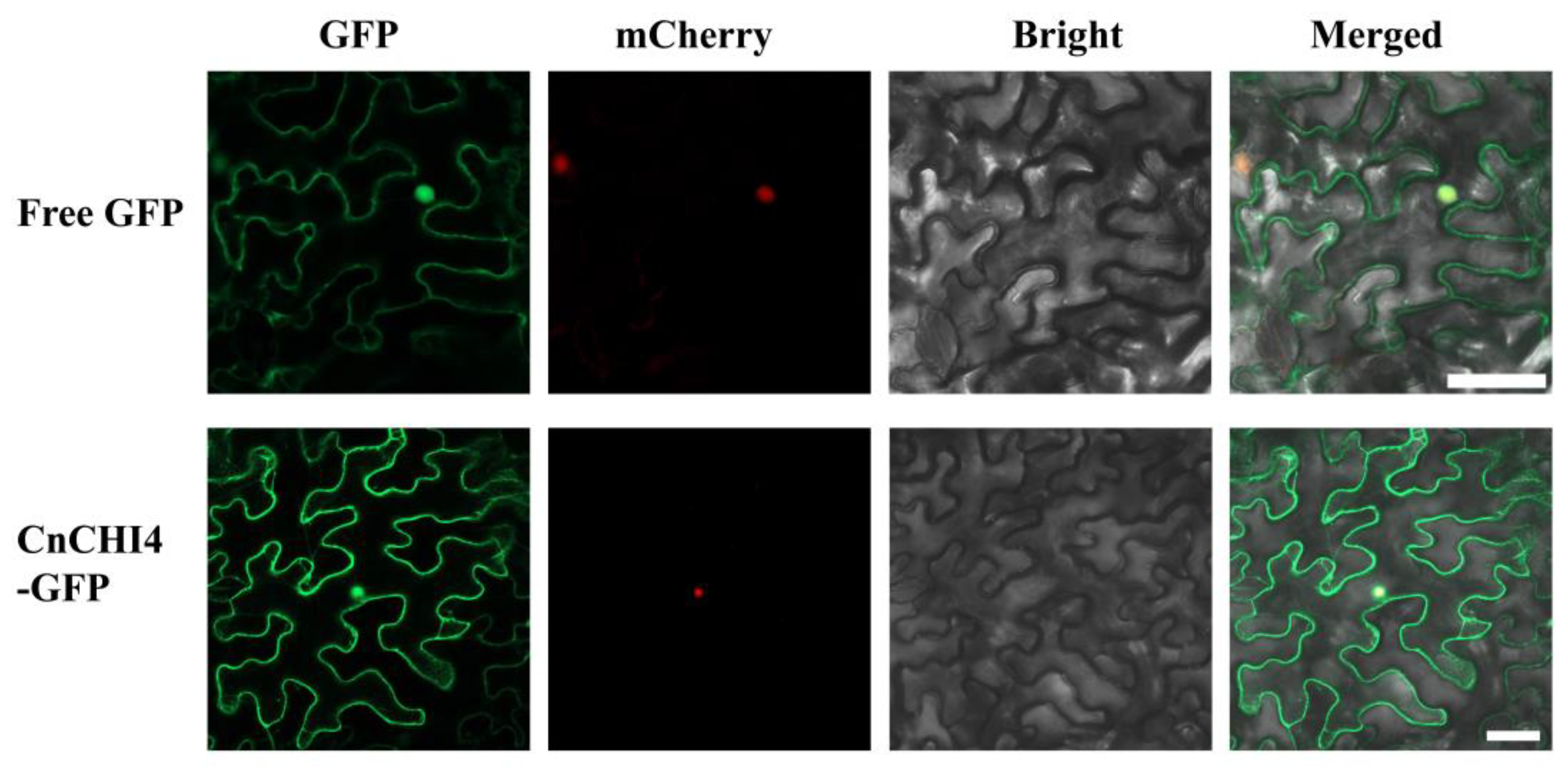 Biomolecules 13 00041 g005