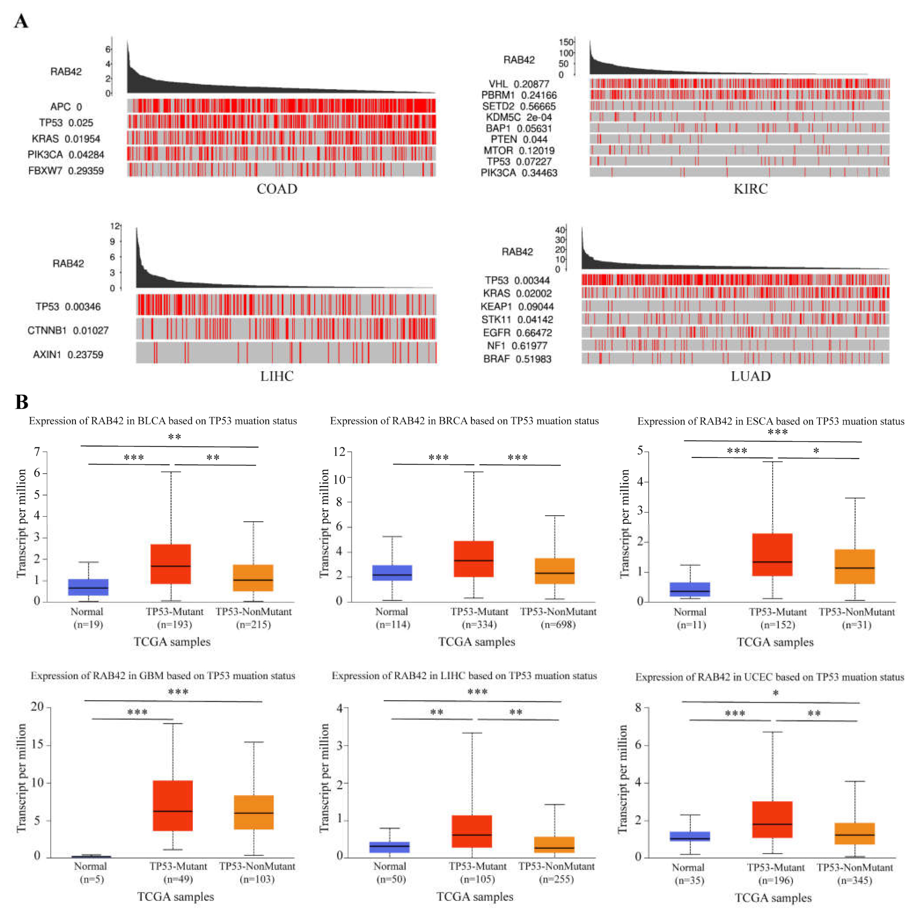 Biomolecules 13 00043 g010