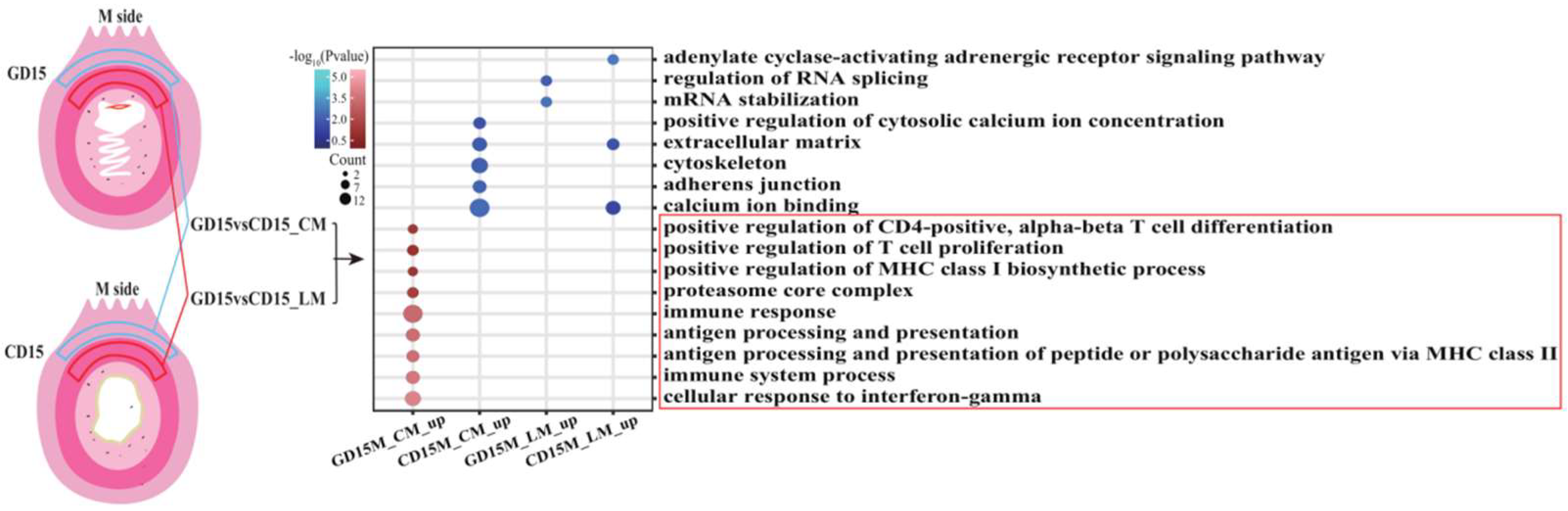Biomolecules 13 00045 g002