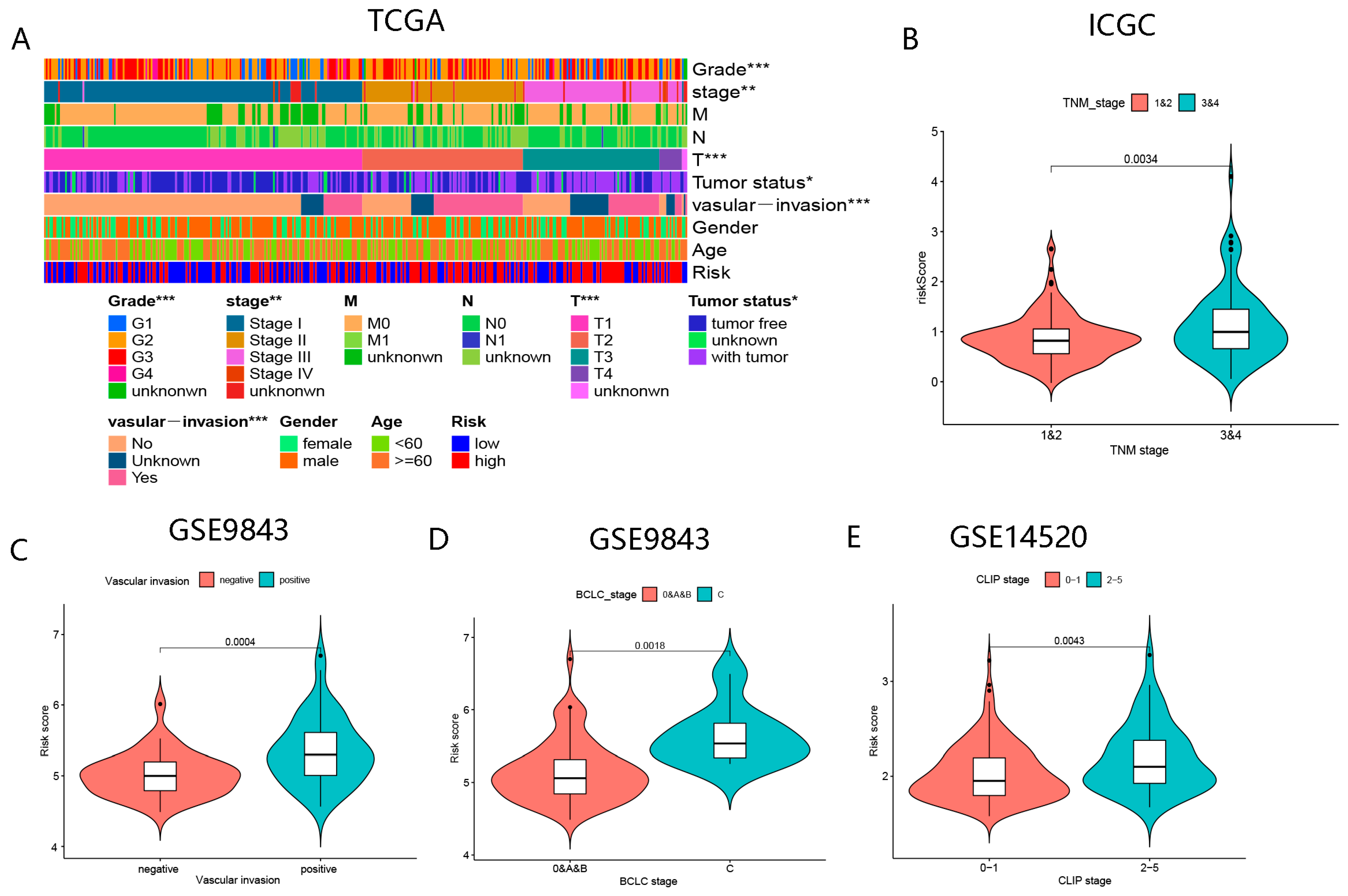 Biomolecules 13 00052 g008