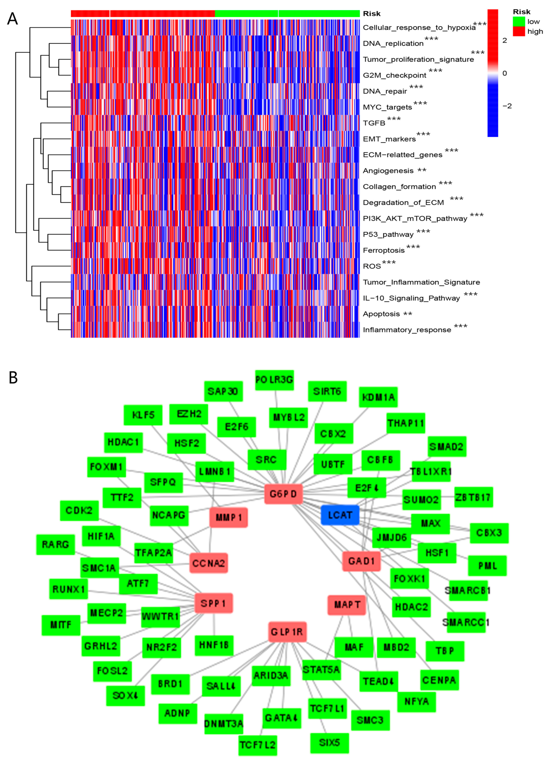 Biomolecules 13 00052 g016