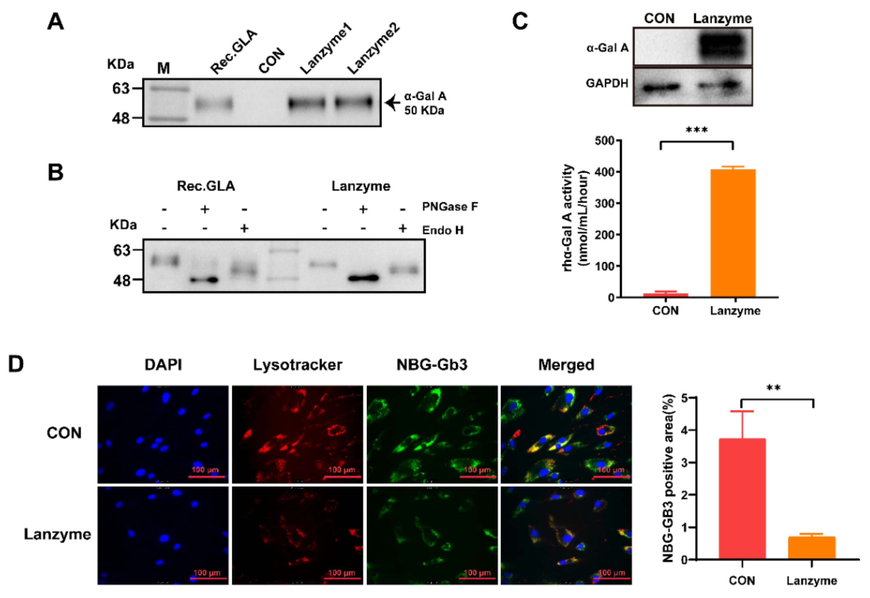 Biomolecules 13 00053 g001