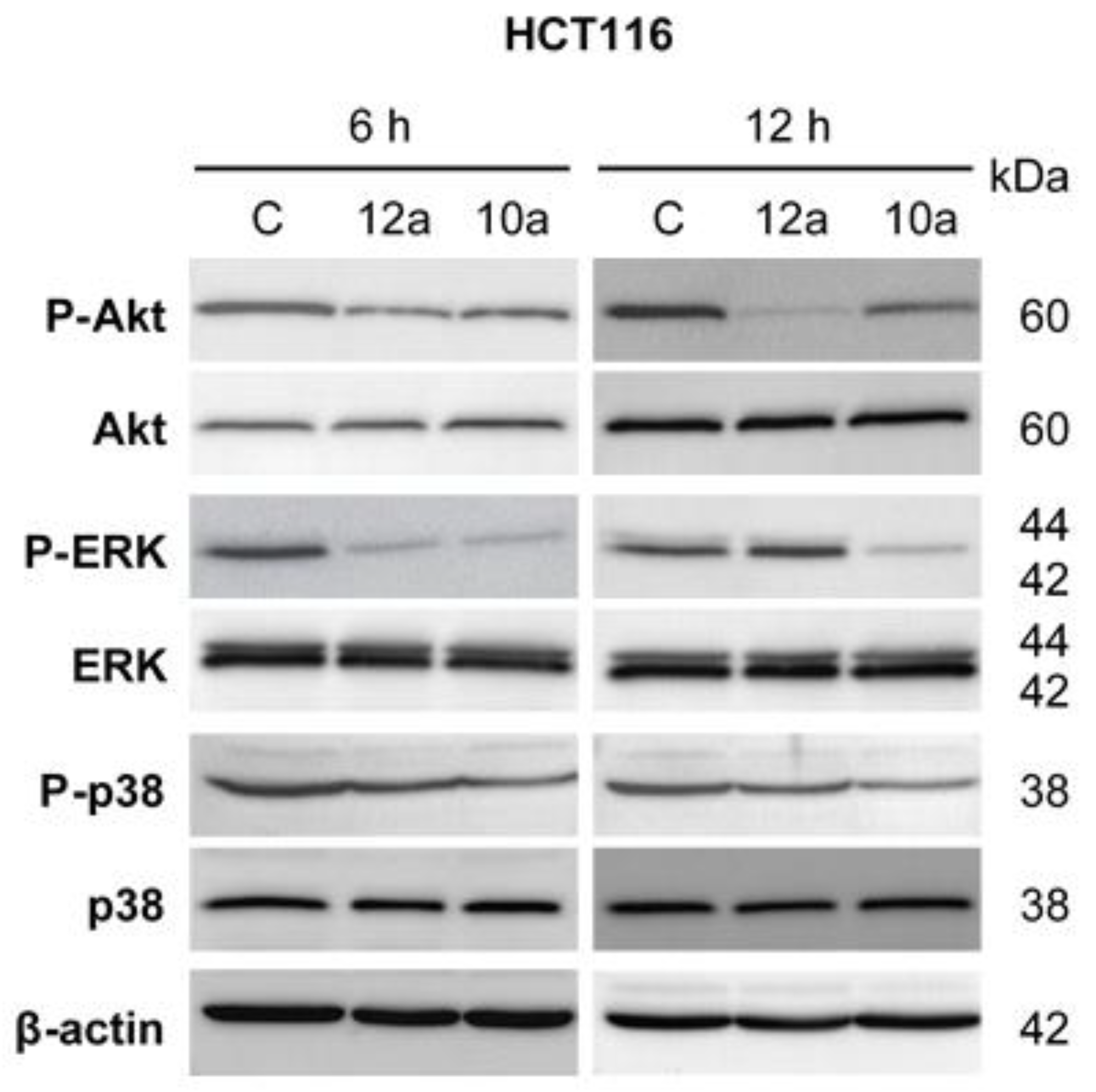 Biomolecules 13 00054 g005